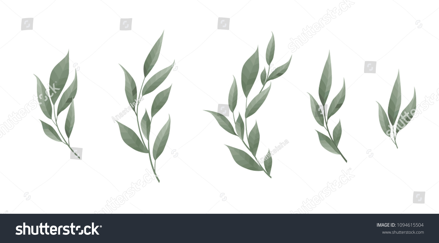SVG of Vector set. Bay leaf. Green leaves on white background. Vector illustration svg