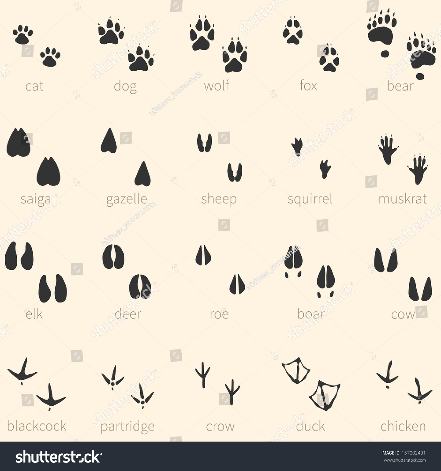 SVG of Vector set of 20 animal footprints icon svg