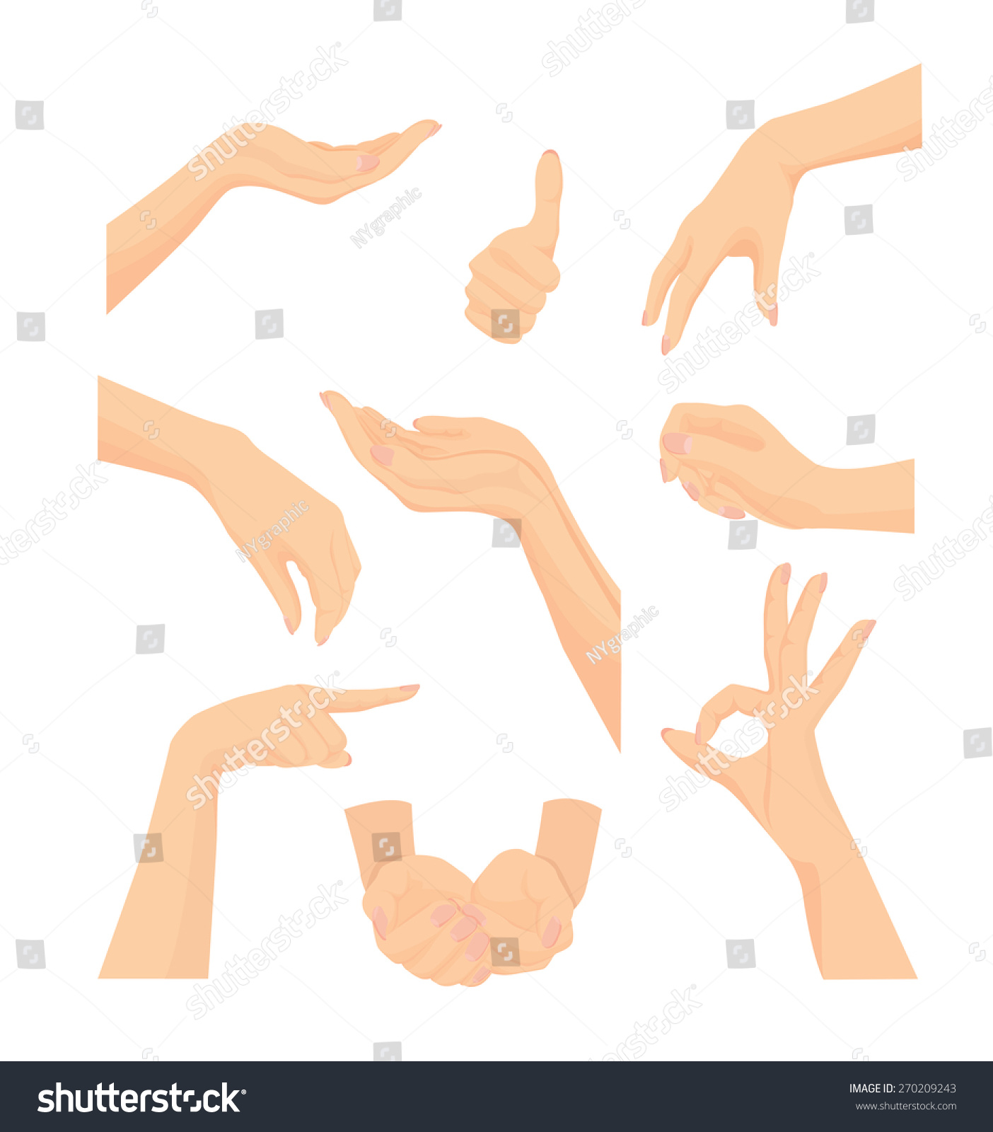 Vector Set Of Beautiful Woman'S Hand Isolated On White Background ...