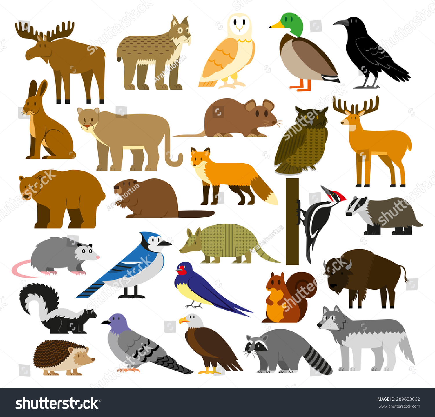 Vector Set Of Cartoon Forest Animals Isolated - 289653062 : Shutterstock