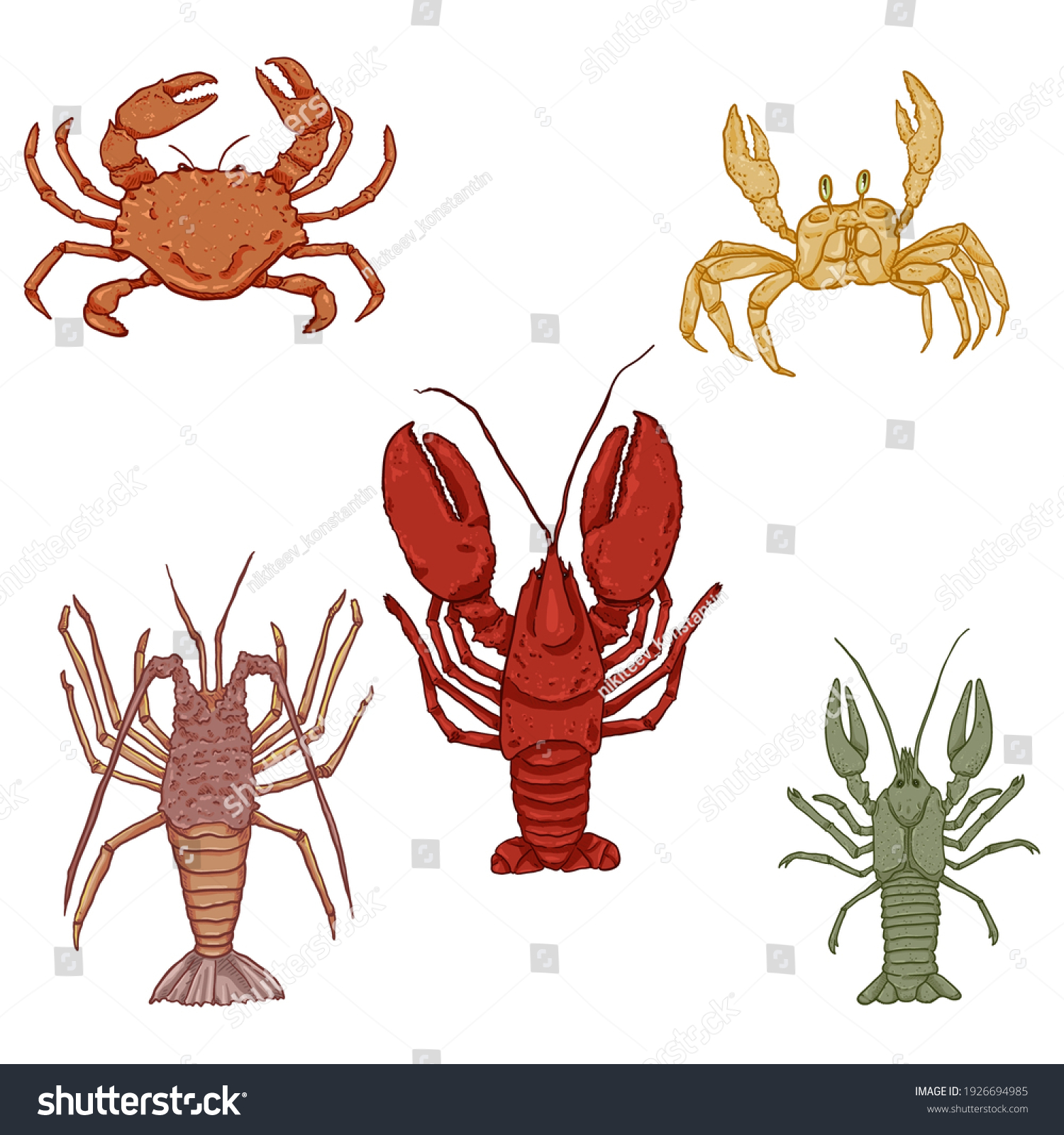 Vector Set Cartoon Sea Animals Omar Stock Vector (Royalty Free) 1926694985