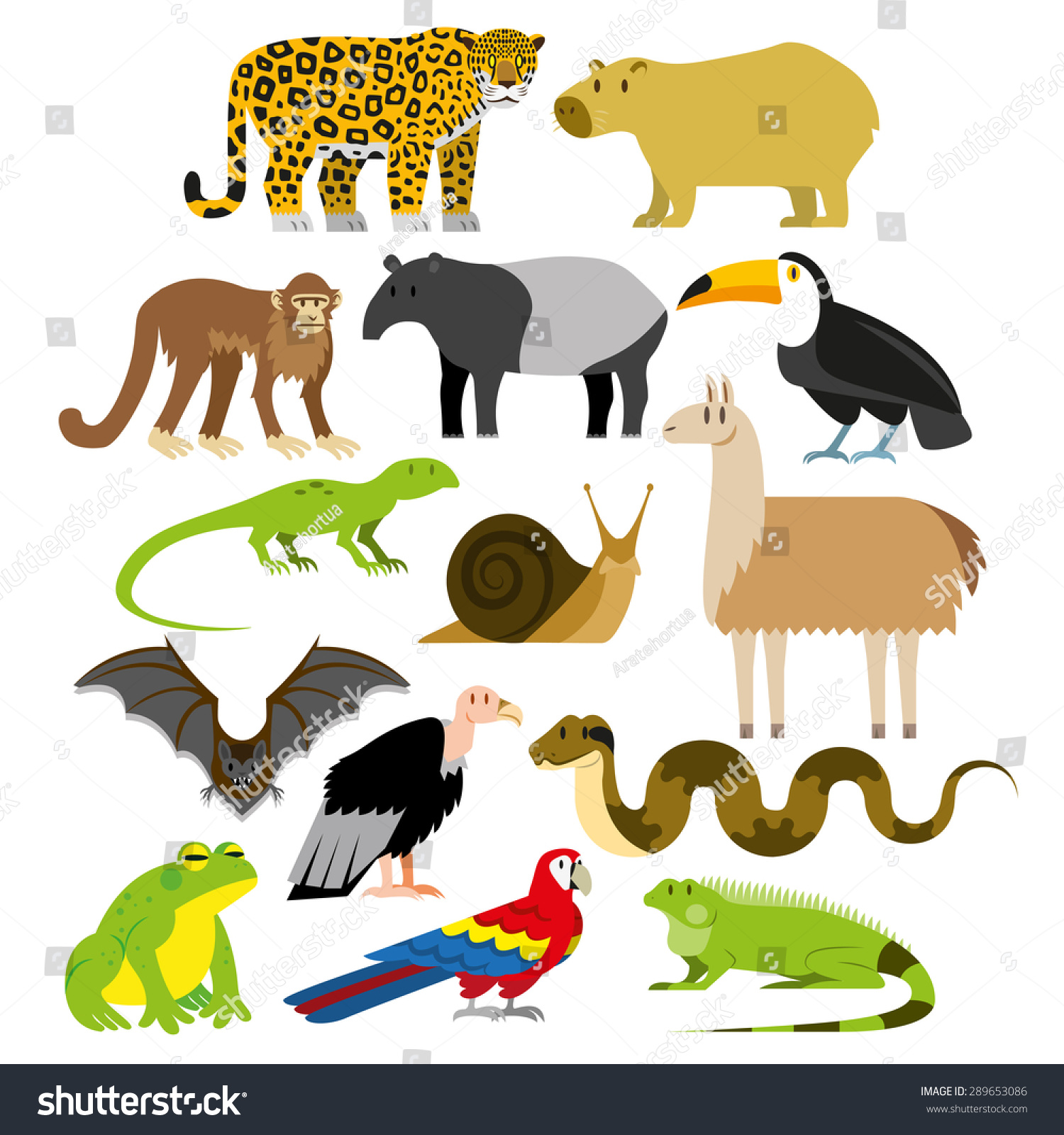 Vector Set Cartoon South American Animals Stock Vector 289653086 ...