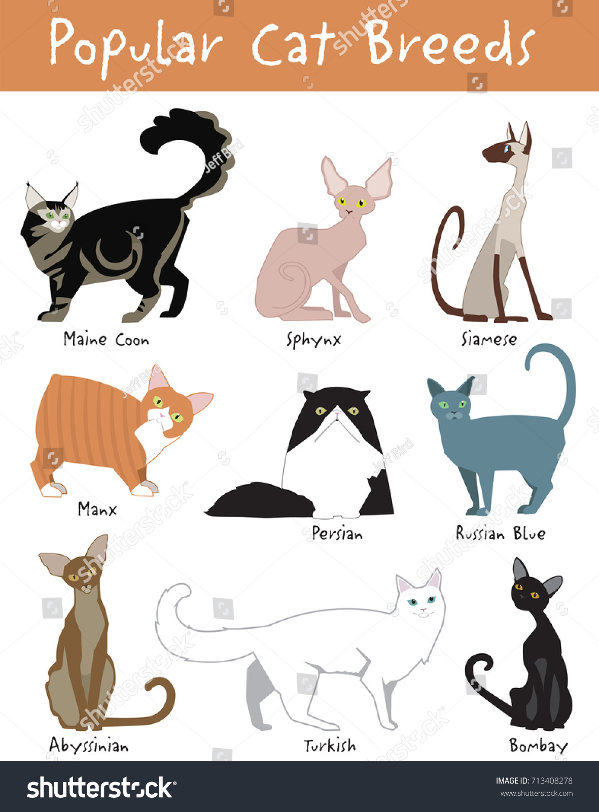 Vector Set Cute Popular Cat Breeds Stock Vector Royalty Free