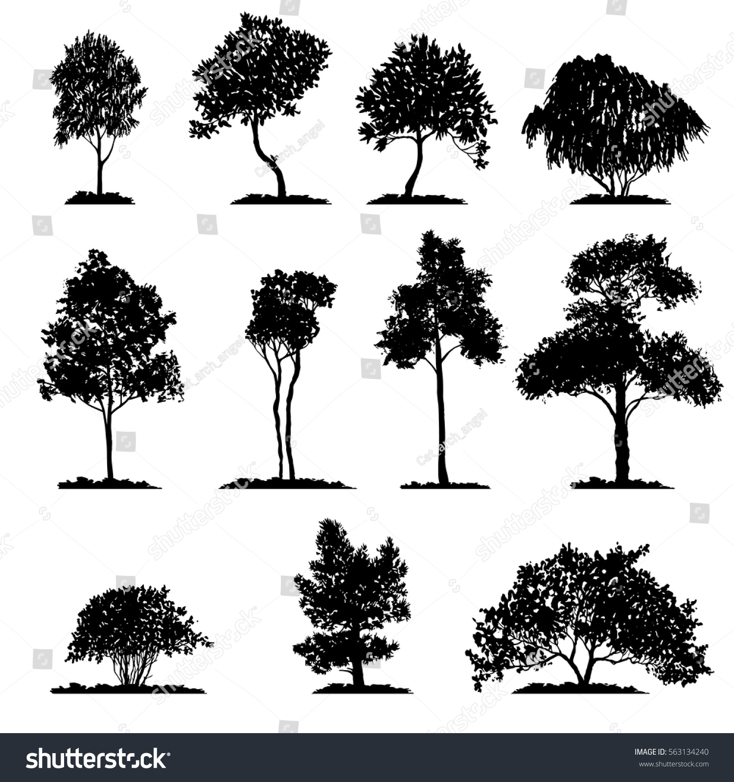 SVG of vector set of deciduous trees, hand drawn isolated natural elements svg