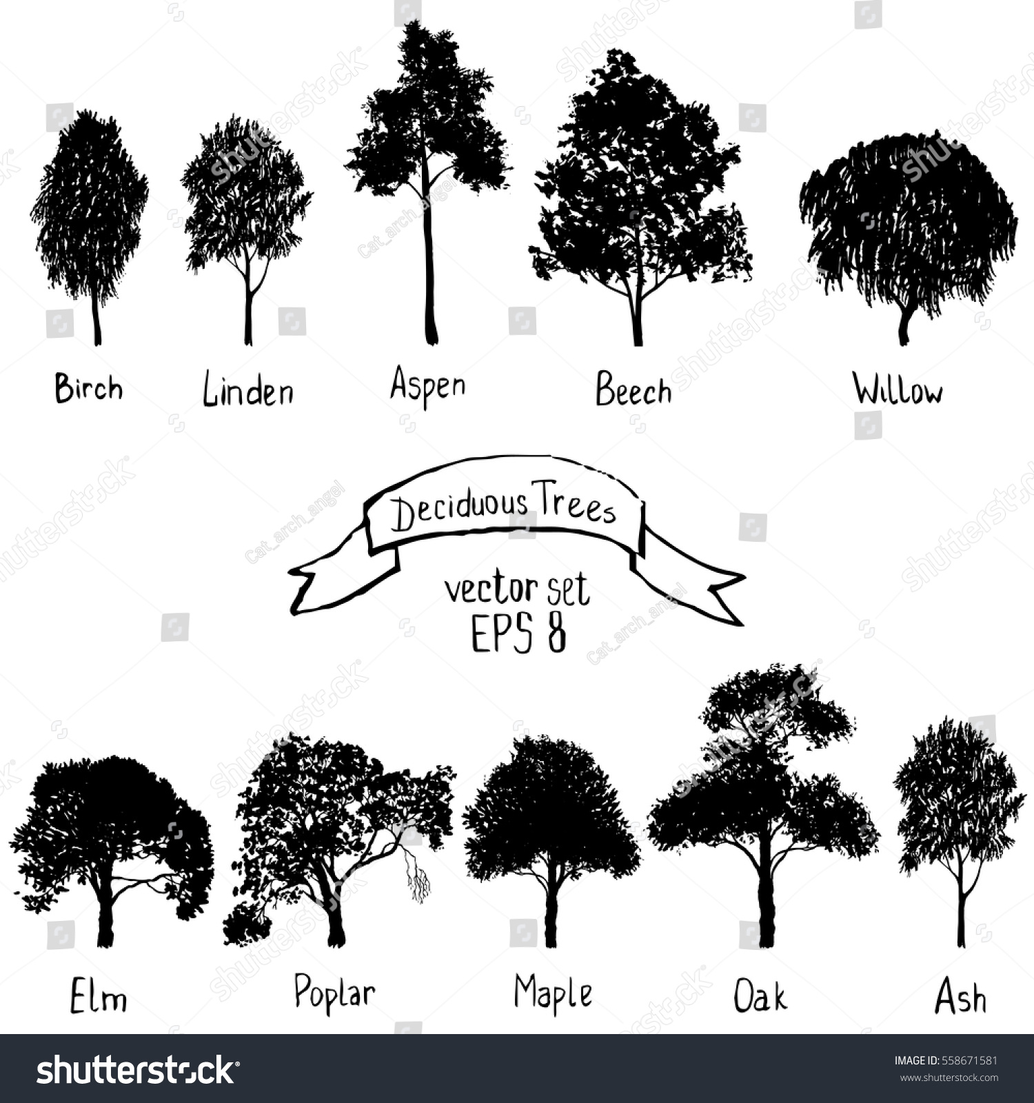 SVG of vector set of deciduous trees, hand drawn isolated natural elements, black silhouettes svg