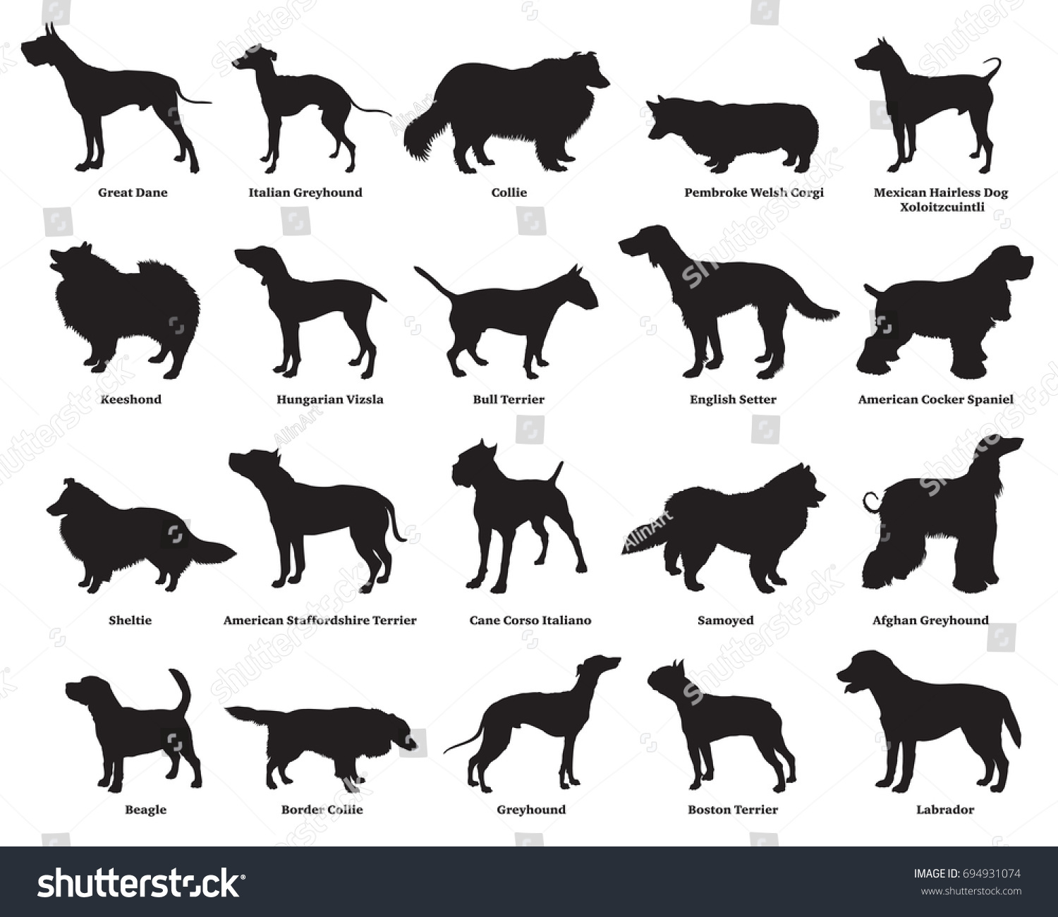 Download Vector set of different breeds dogs silhouettes isolated ...