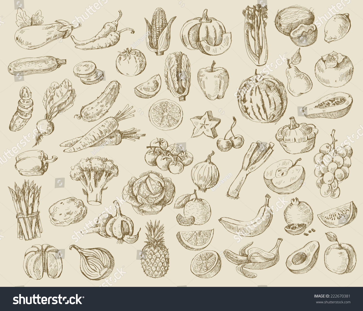 Vector Set Different Hand Drawn Fruits Stock Vector (Royalty Free