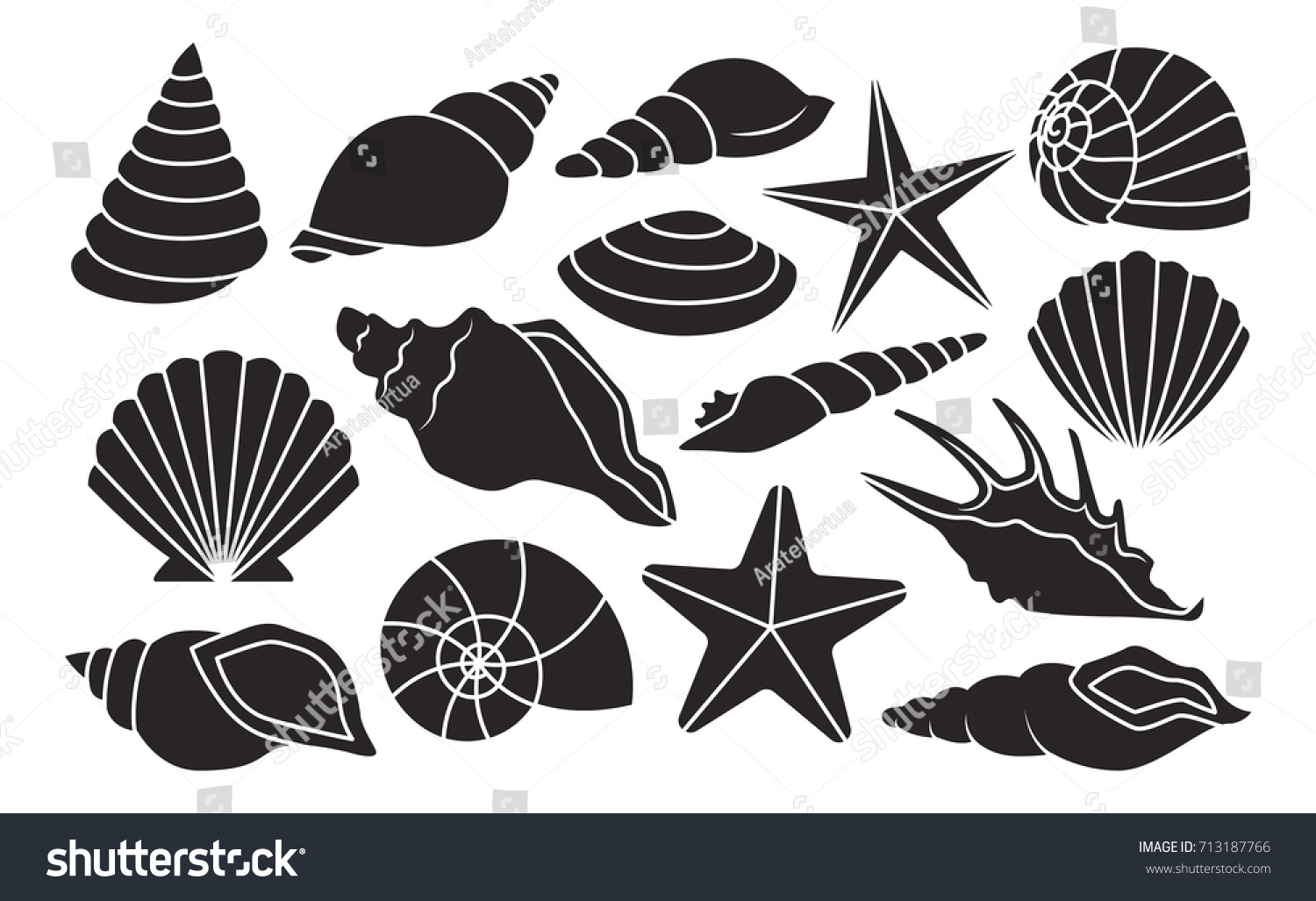 Vector Set Different Shells Isolated On Stock Vector (Royalty Free ...