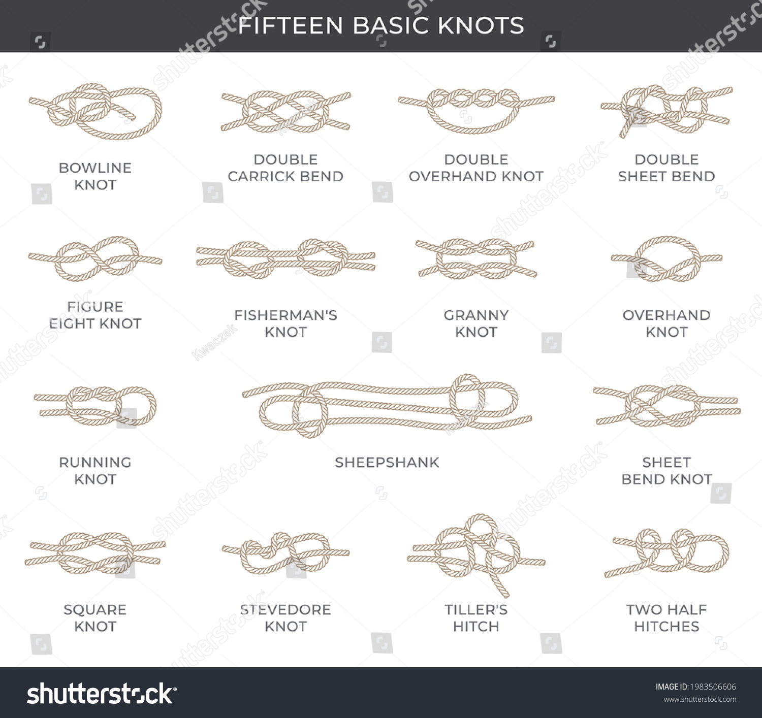 Vector Set Fifteen Basic Nodes Names Stock Vector (Royalty Free ...