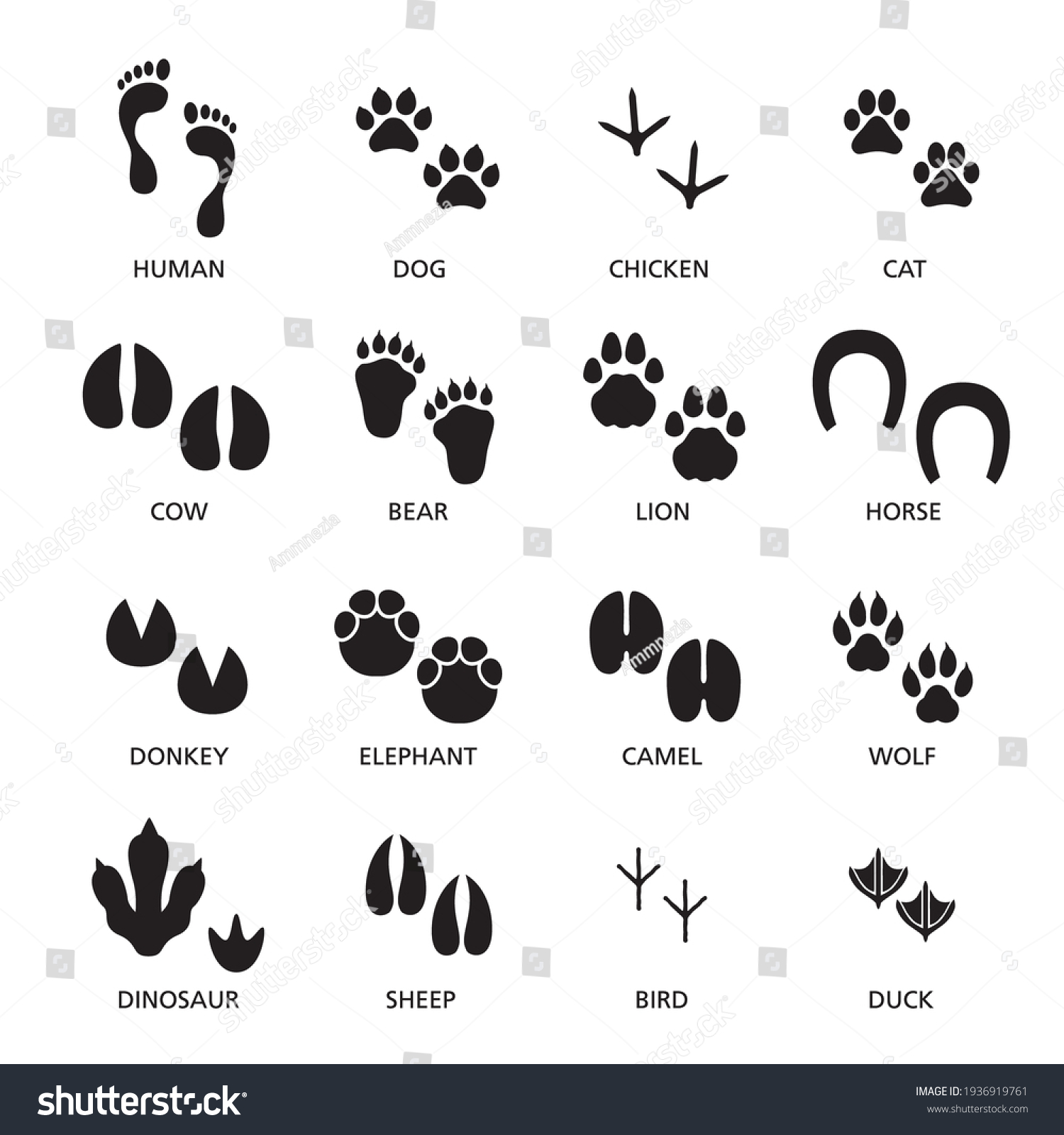 SVG of Vector set of footprint of different animals and human. Paw print collection svg