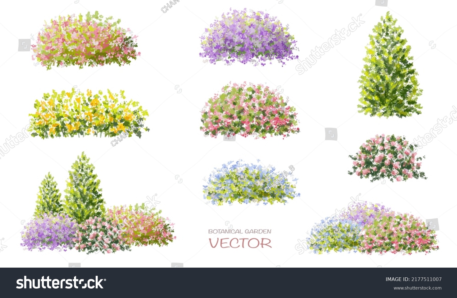 210,777 Flower garden watercolor Stock Vectors, Images & Vector Art ...