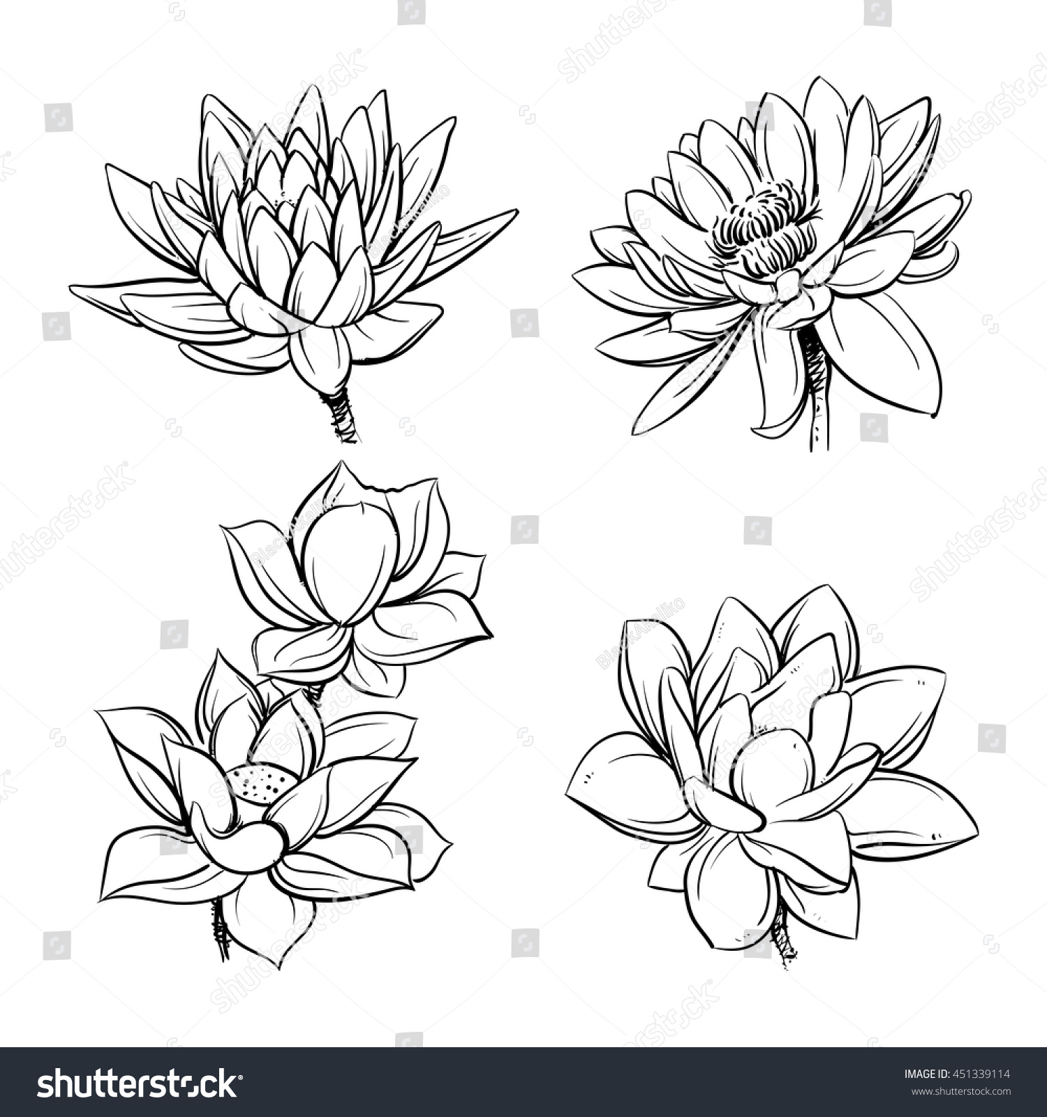 Vector Set Hand Drawn Lotus Flowers Stock Vector Royalty Free 451339114 1388