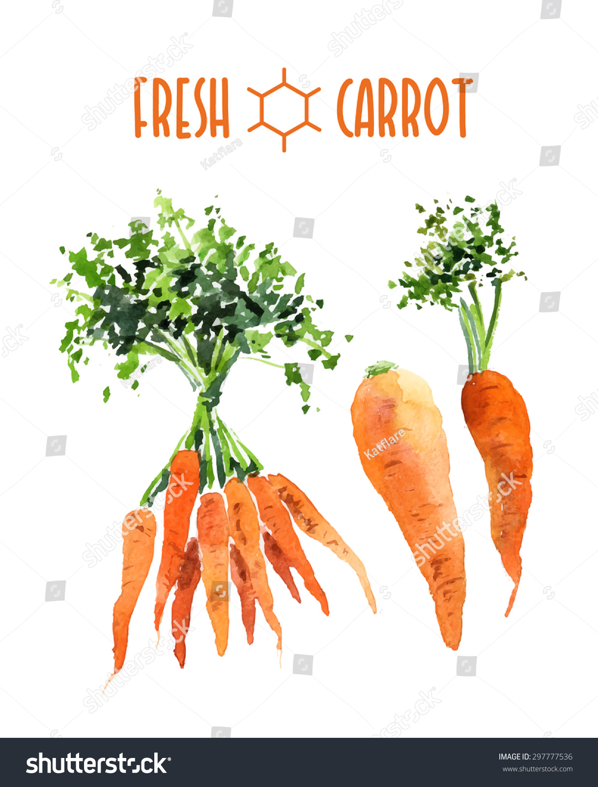 Vector Set Hand Drawn Watercolor Carrot Stock Vector (Royalty Free