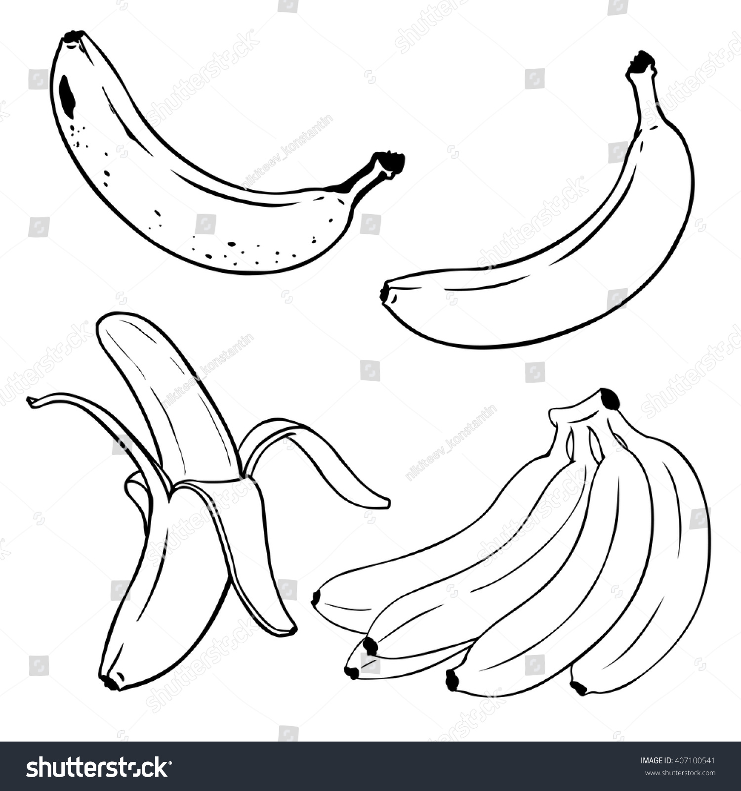 Single Line Vector Art : Vector set lineart bananas overripe banana stock