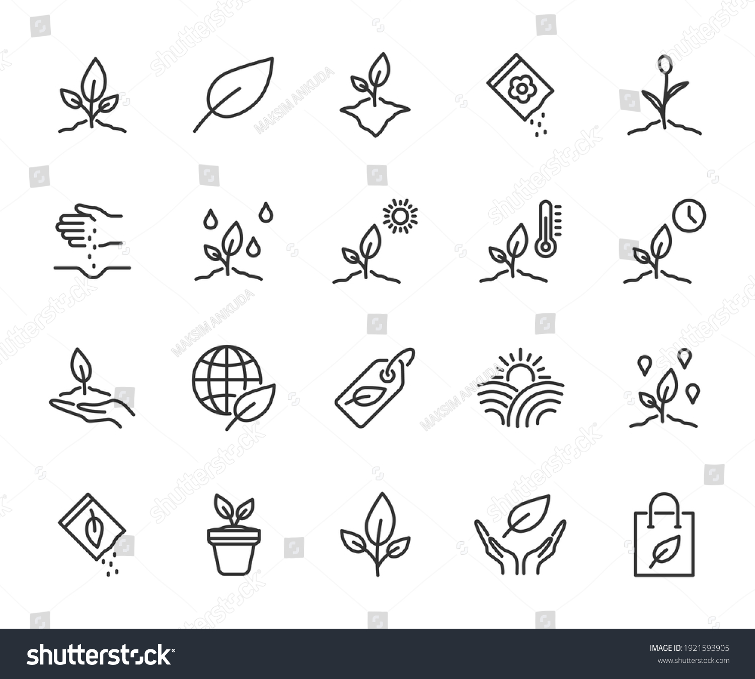 Vector Set Plant Line Icons Contains Stock Vector (Royalty Free) 1921593905