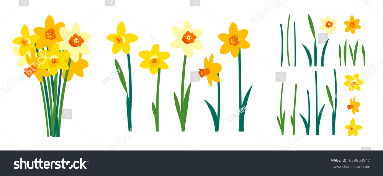 SVG of Vector set of positive floral illustrations isolated on white background. Early spring garden flowers. Yellow daffodils bouquet. Clip art for bright festive greeting card, poster, banner. Womens Day svg