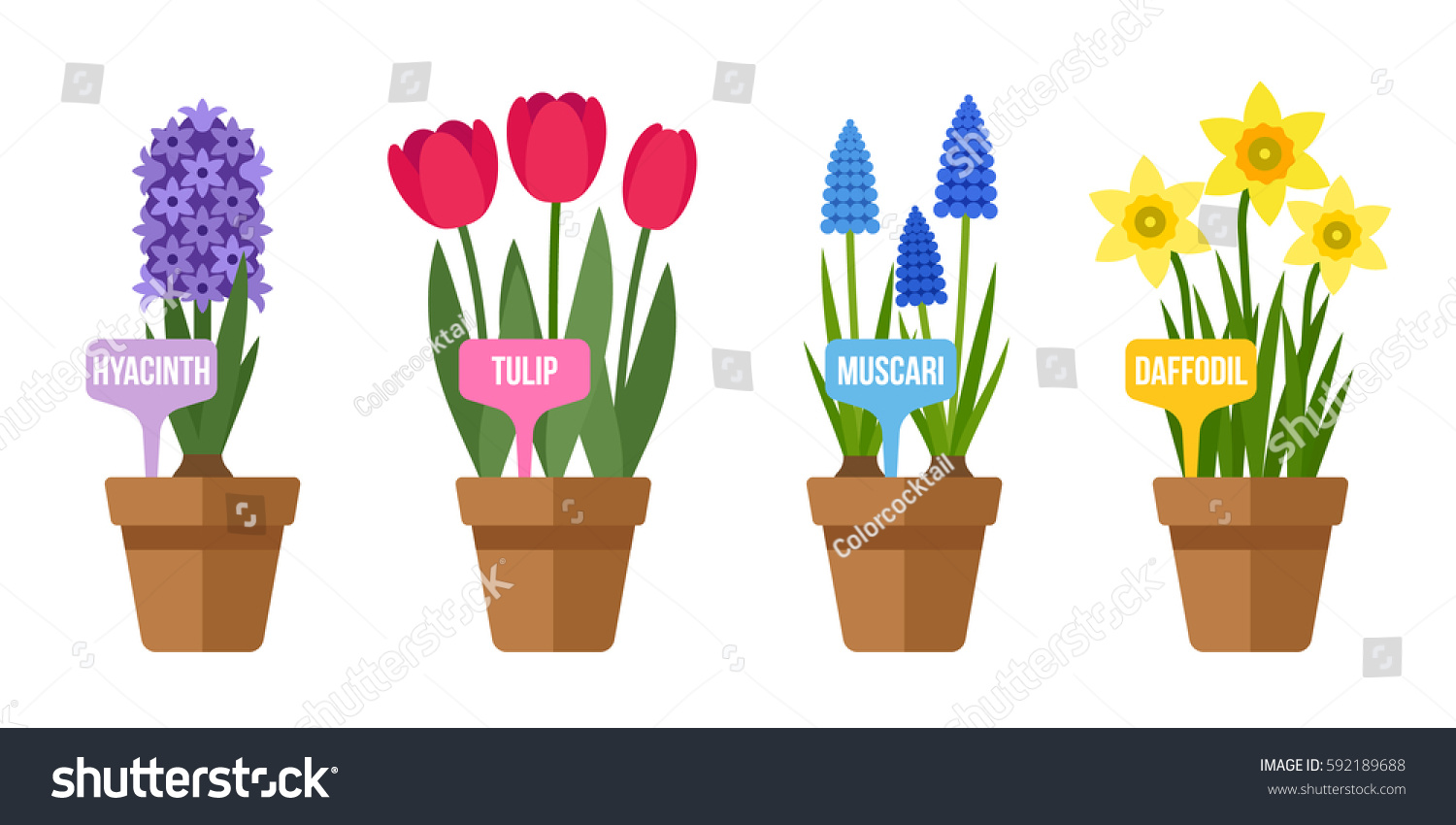 SVG of Vector set of potted spring flowers with labels. Flat style. svg
