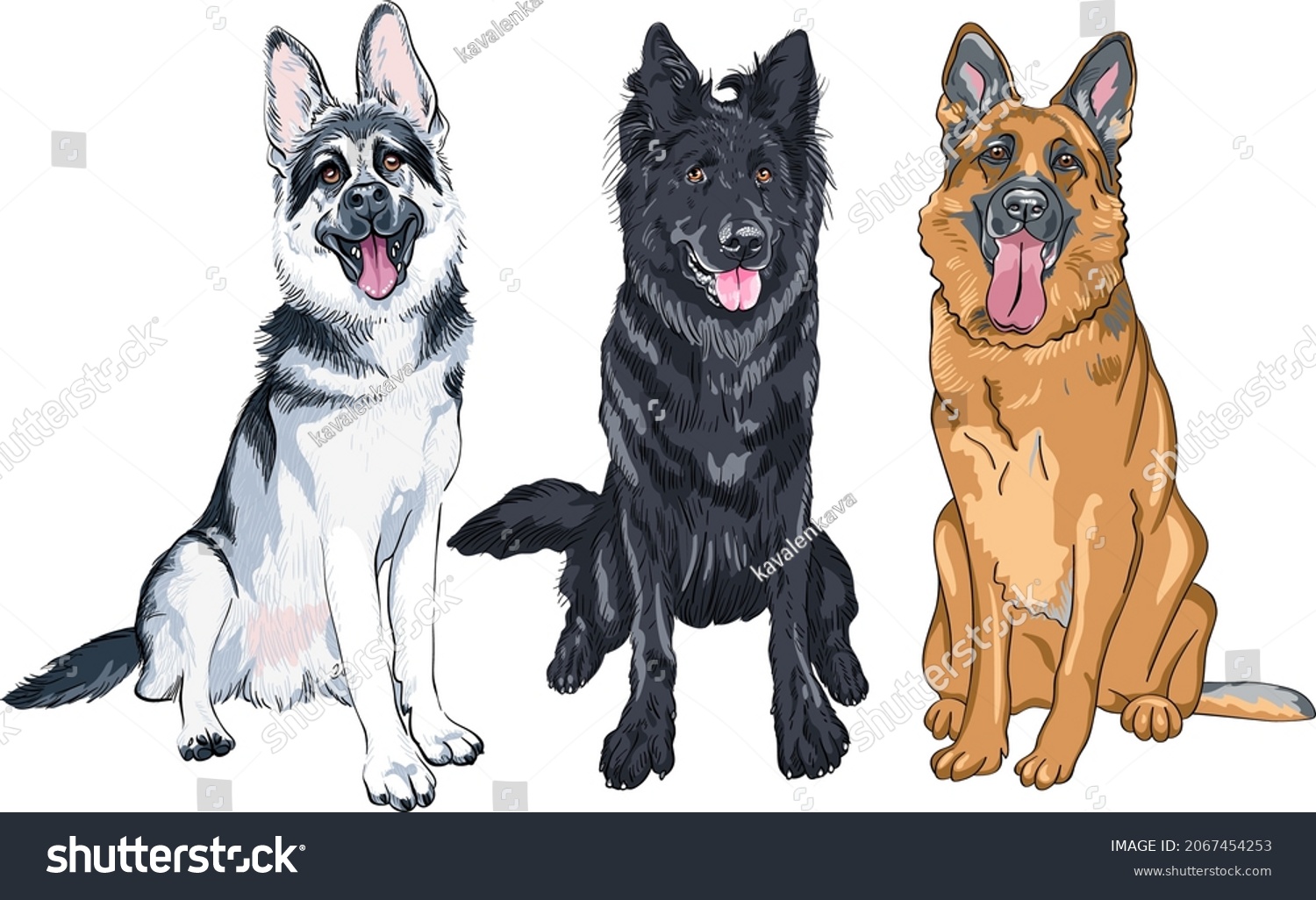 SVG of Vector set of Shepherd dogs, East European Shepherd, black Belgian Shepherd Dog or Groenendael and German shepherd with black mask and sable coat svg