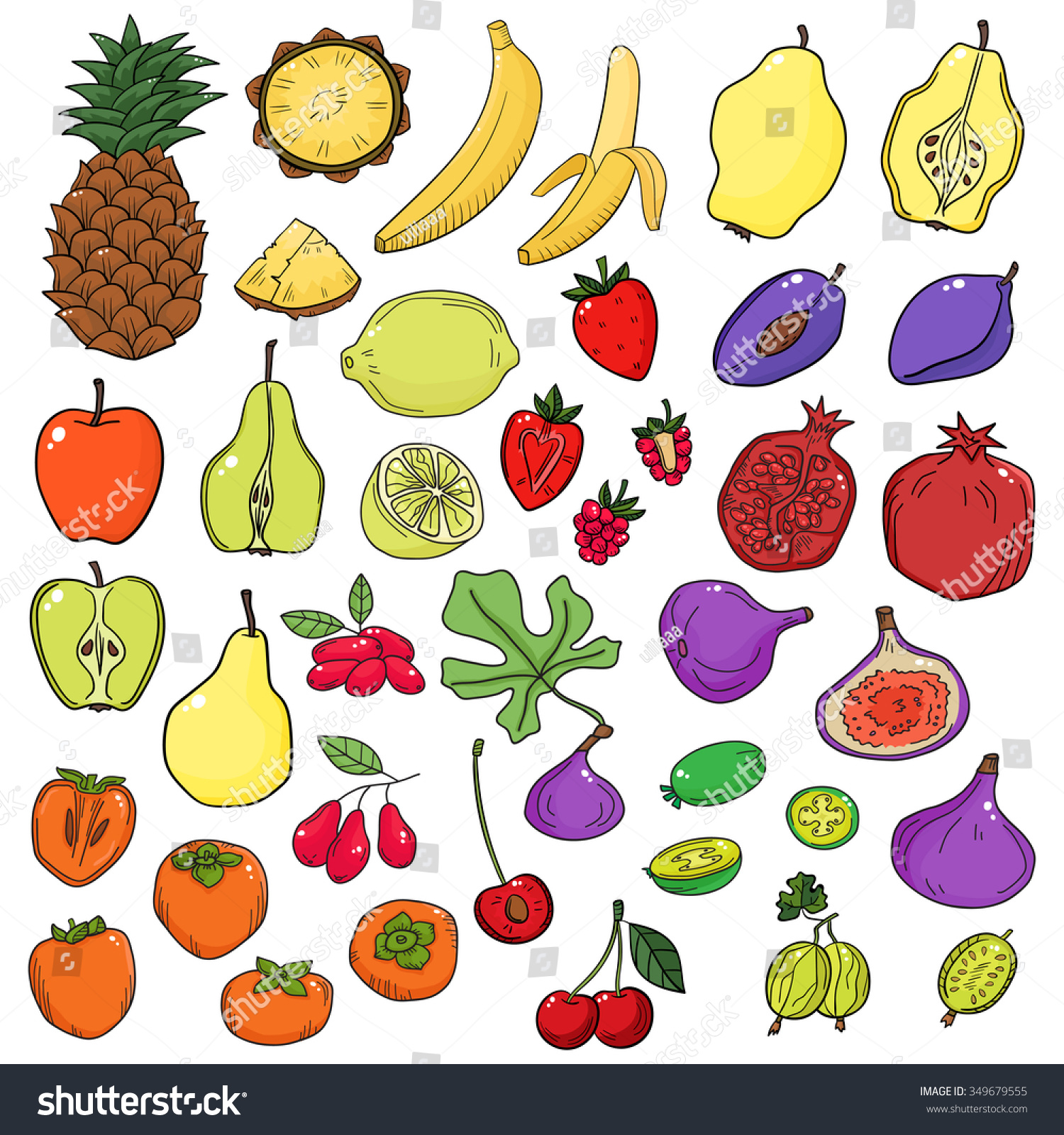 Vector Set Stylized Fresh Cute Fruits Stock Vector 349679555 - Shutterstock