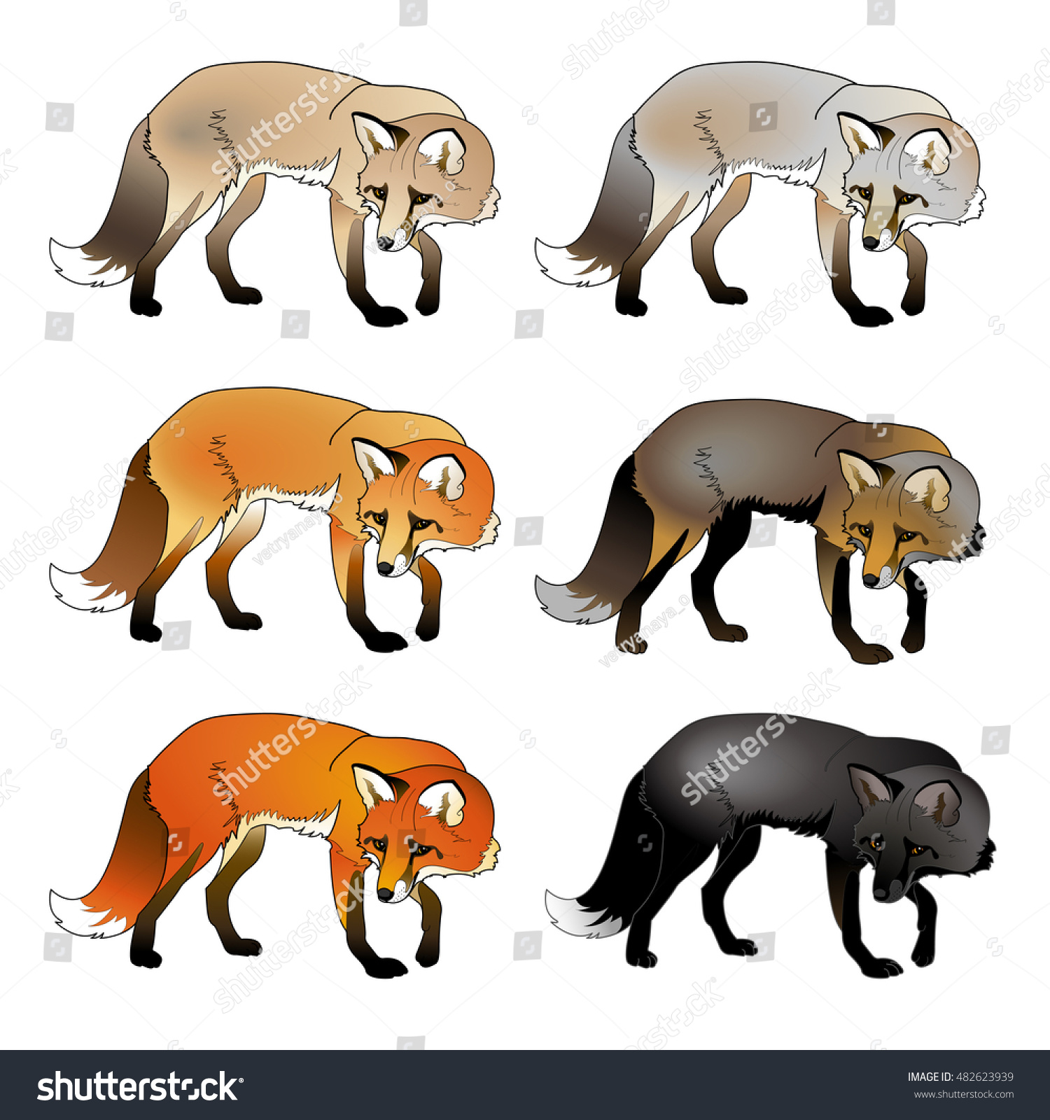 fox fur colors