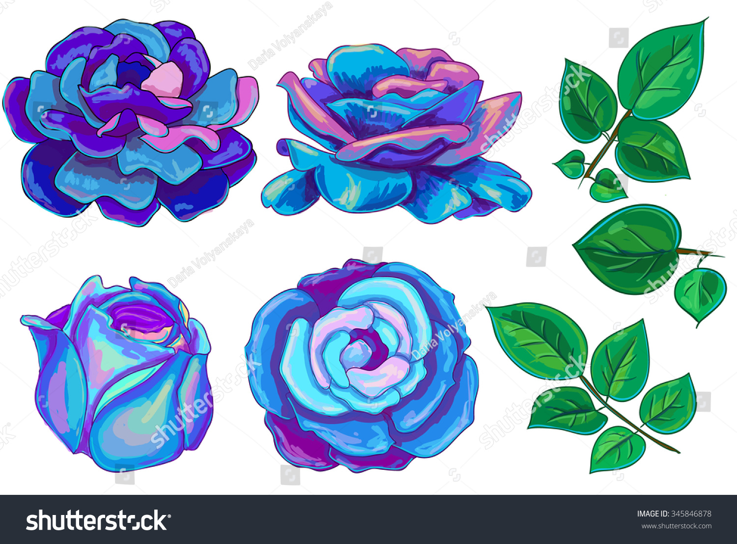 Blue Rose Drawing / Learn how to draw blue rose pictures using these