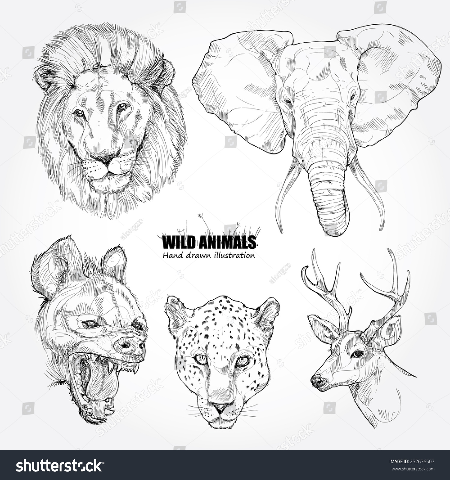 Vector Set, Wild Animals Collection. Hand Drawn Vector - 252676507 ...