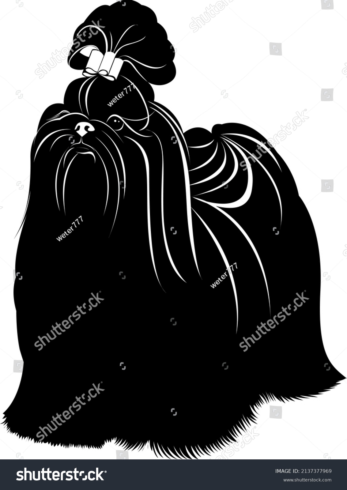 SVG of vector silhouette dog shih tzu isolated on white background svg