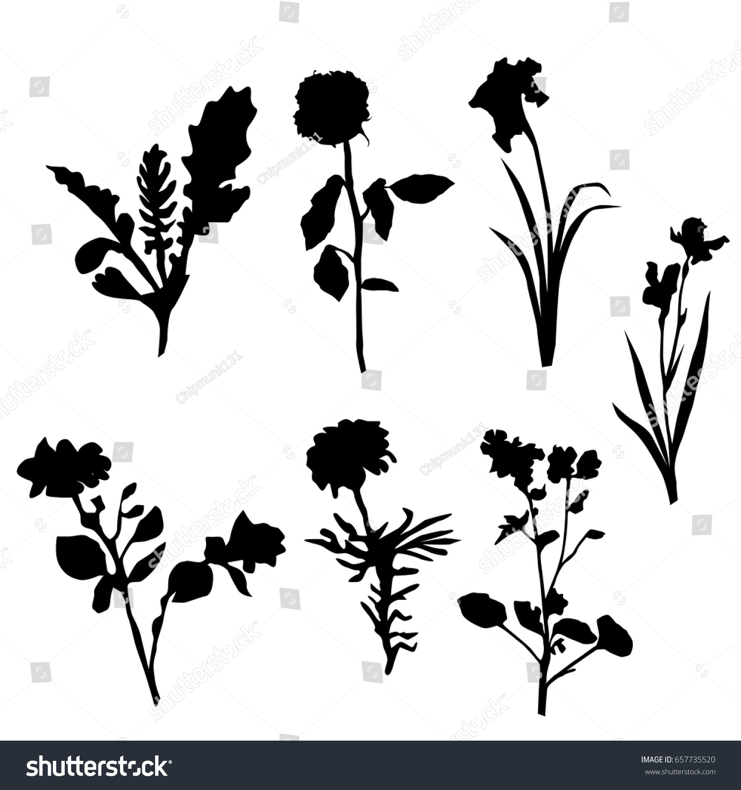 Vector Silhouette Flowers Black Color Isolated Stock Vector 657735520