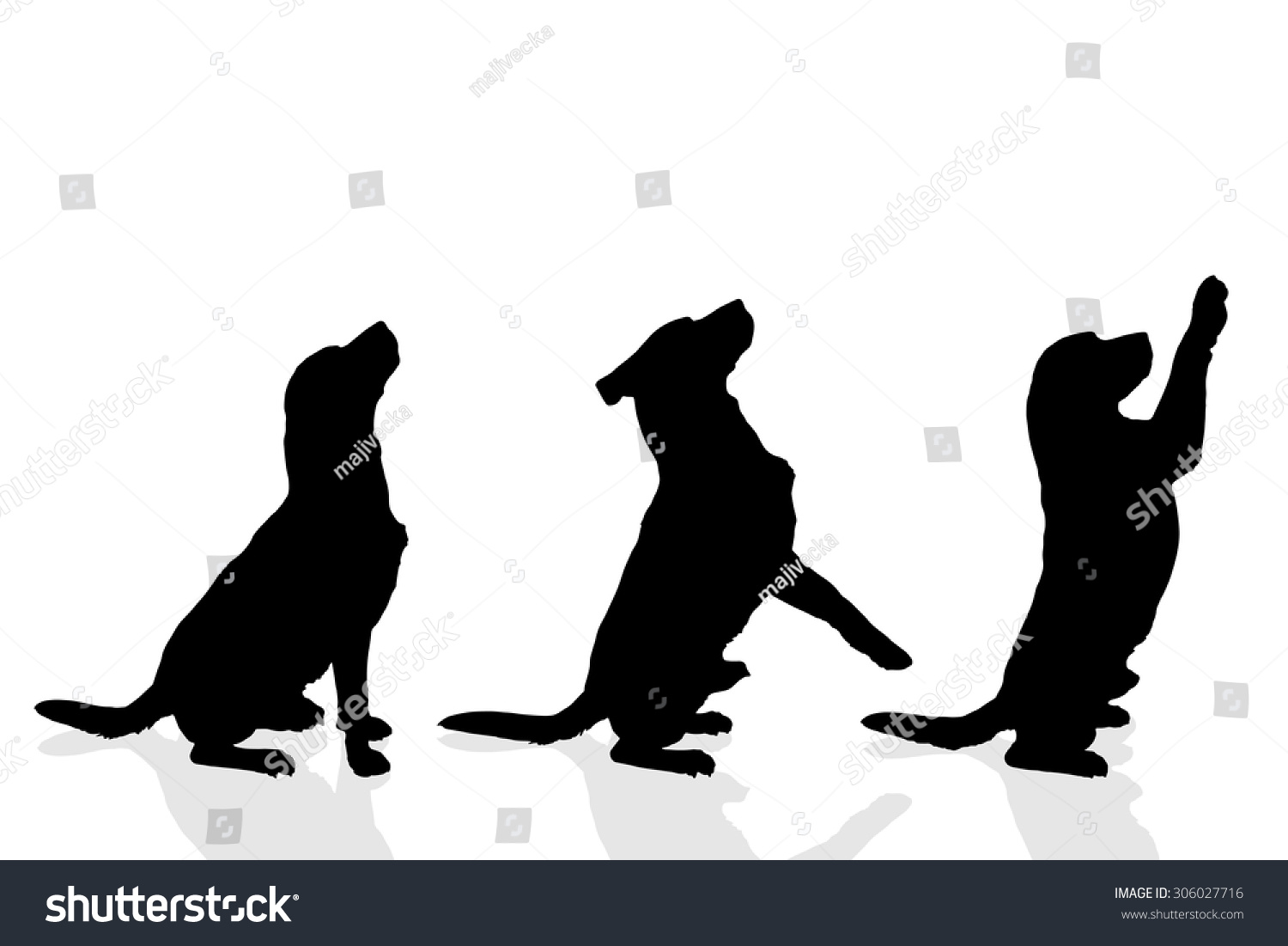 Vector Silhouette Dog On White Background Stock Vector (Royalty Free