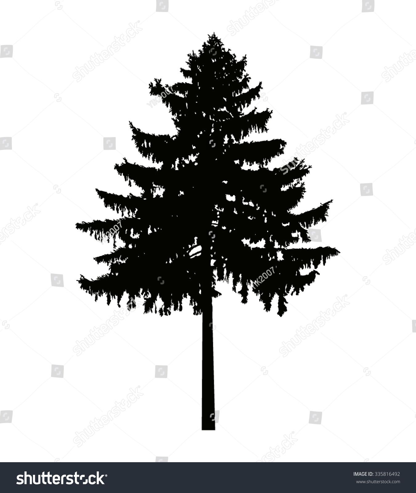 Vector Silhouette Pine Tree Can Be Stock Vector (Royalty Free