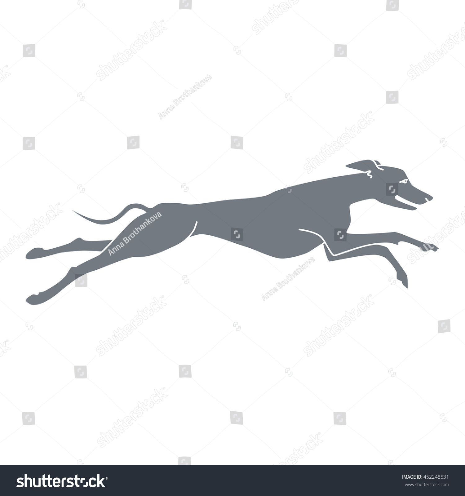 whippet 자전거 가격