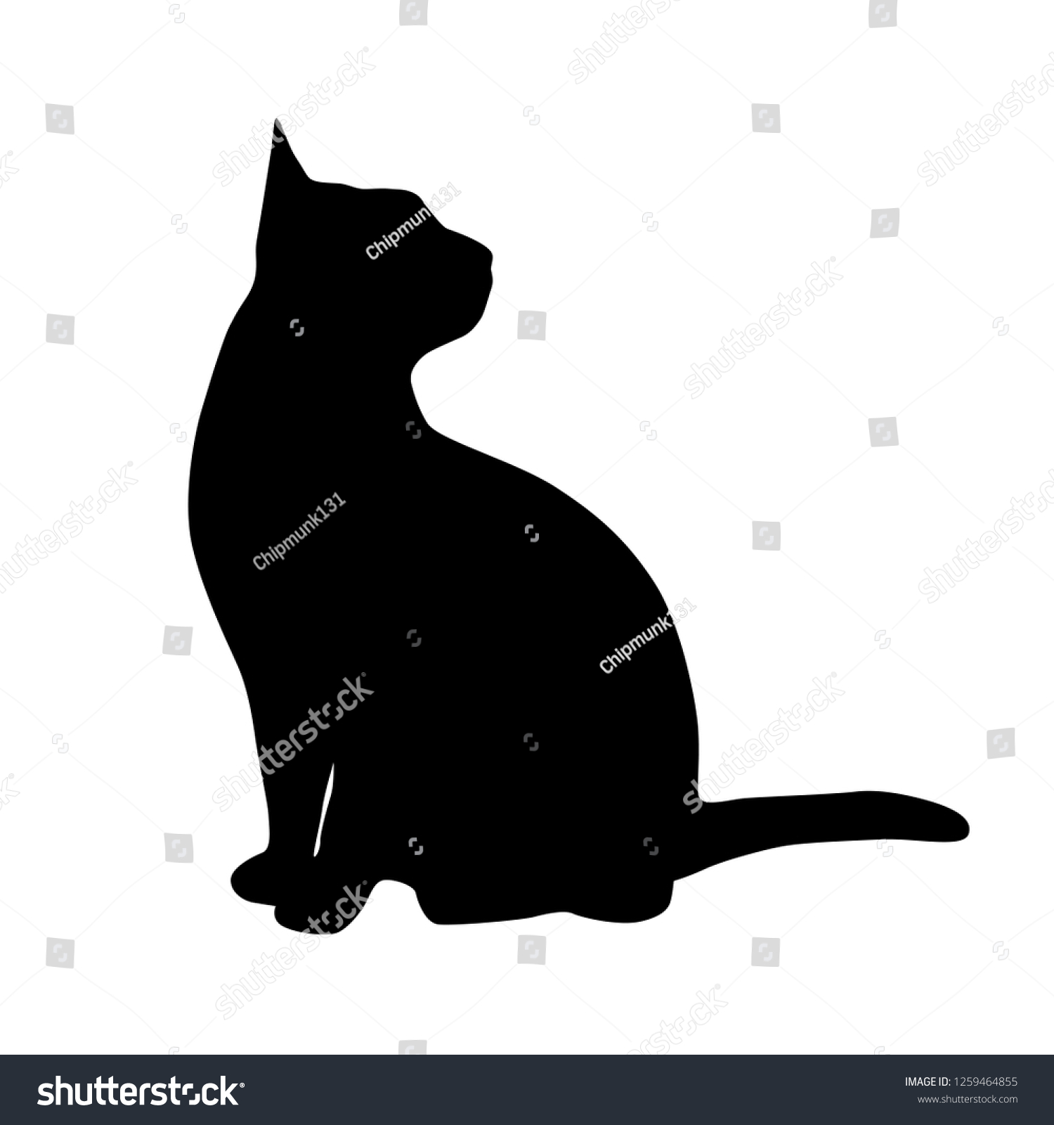 白い背景に黒い背景に座った猫のベクターシルエット のベクター画像素材 ロイヤリティフリー