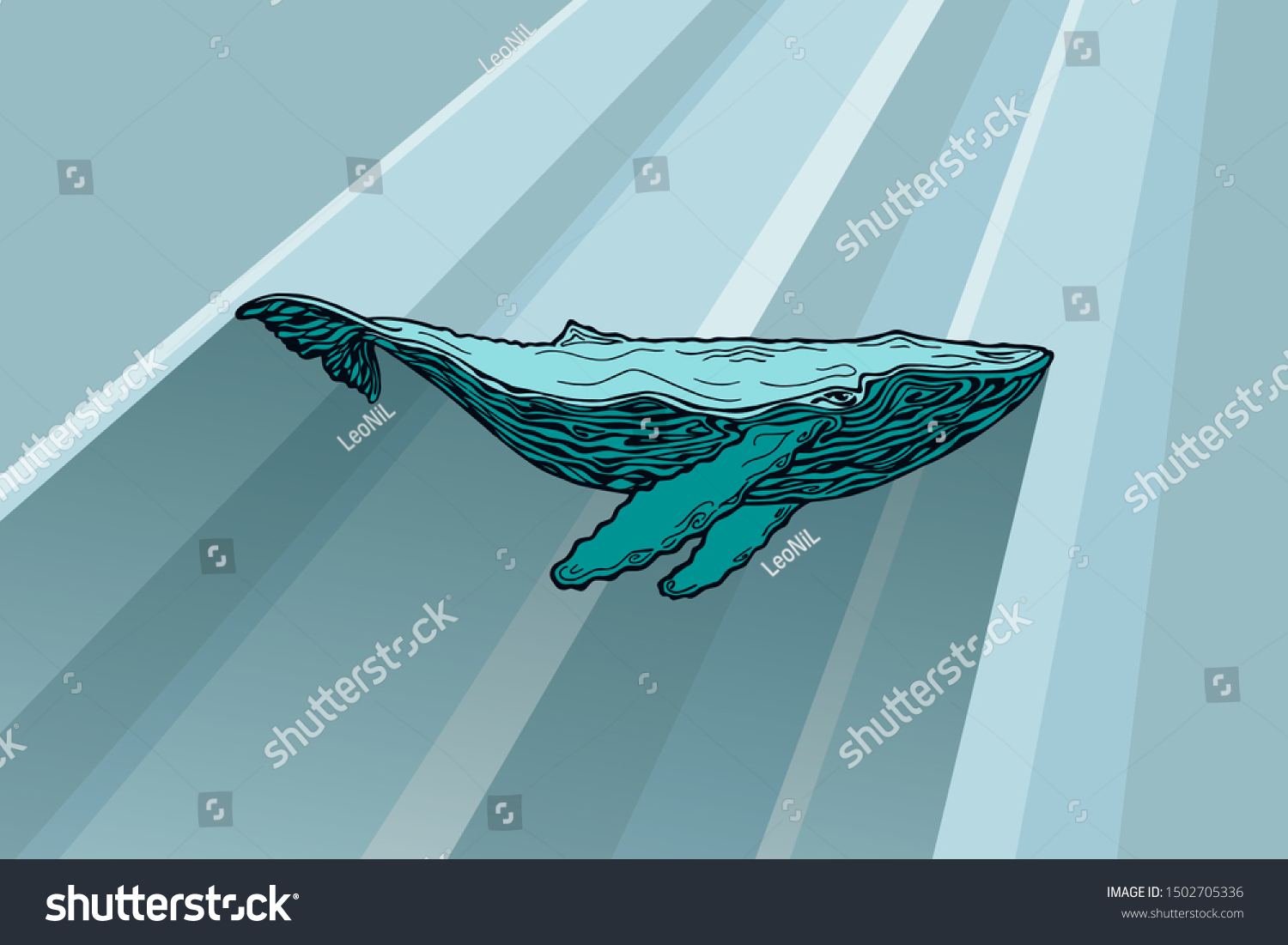 2,040 Whale shadow Images, Stock Photos & Vectors | Shutterstock