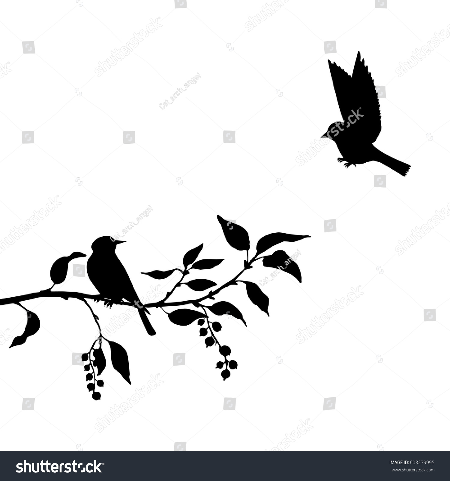 Vector Silhouettes Birds Tree Hand Drawn Stock Vector 603279995 ...