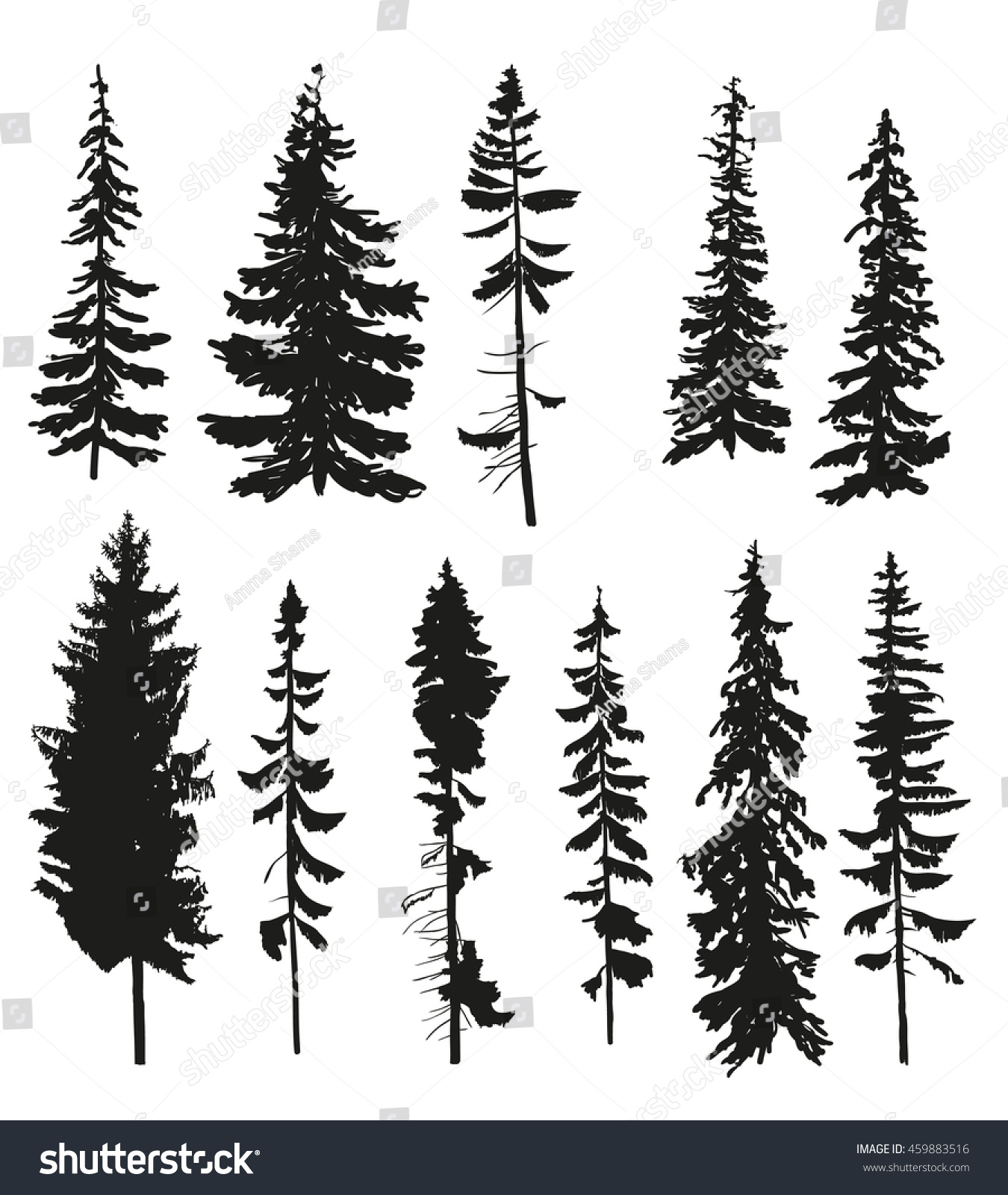 Download Vector Silhouettes Different Pine Trees Stock Vector ...