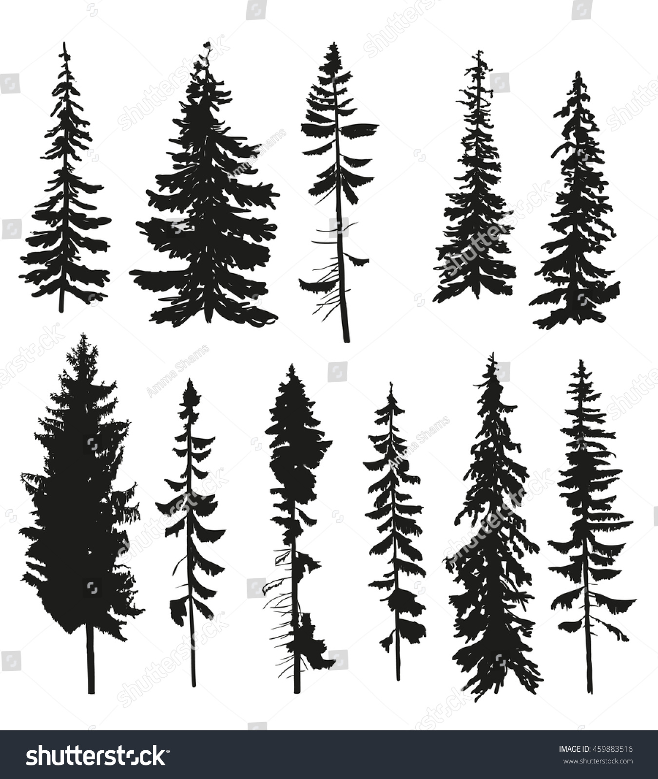 Vector Silhouettes Different Pine Trees Stock Vector 459883516 Shutterstock 