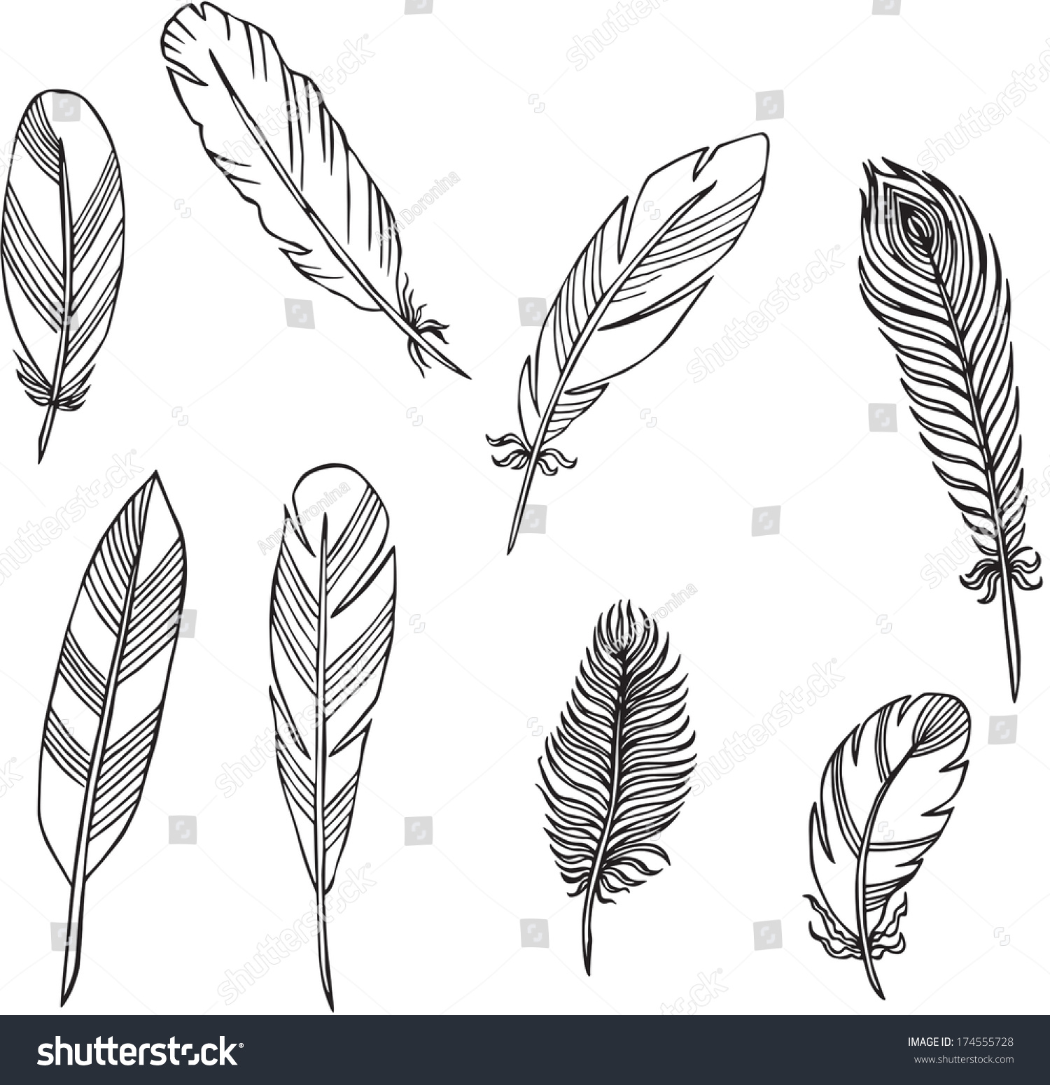 Vector Silhouettes Feathers Stock Vector 174555728 - Shutterstock