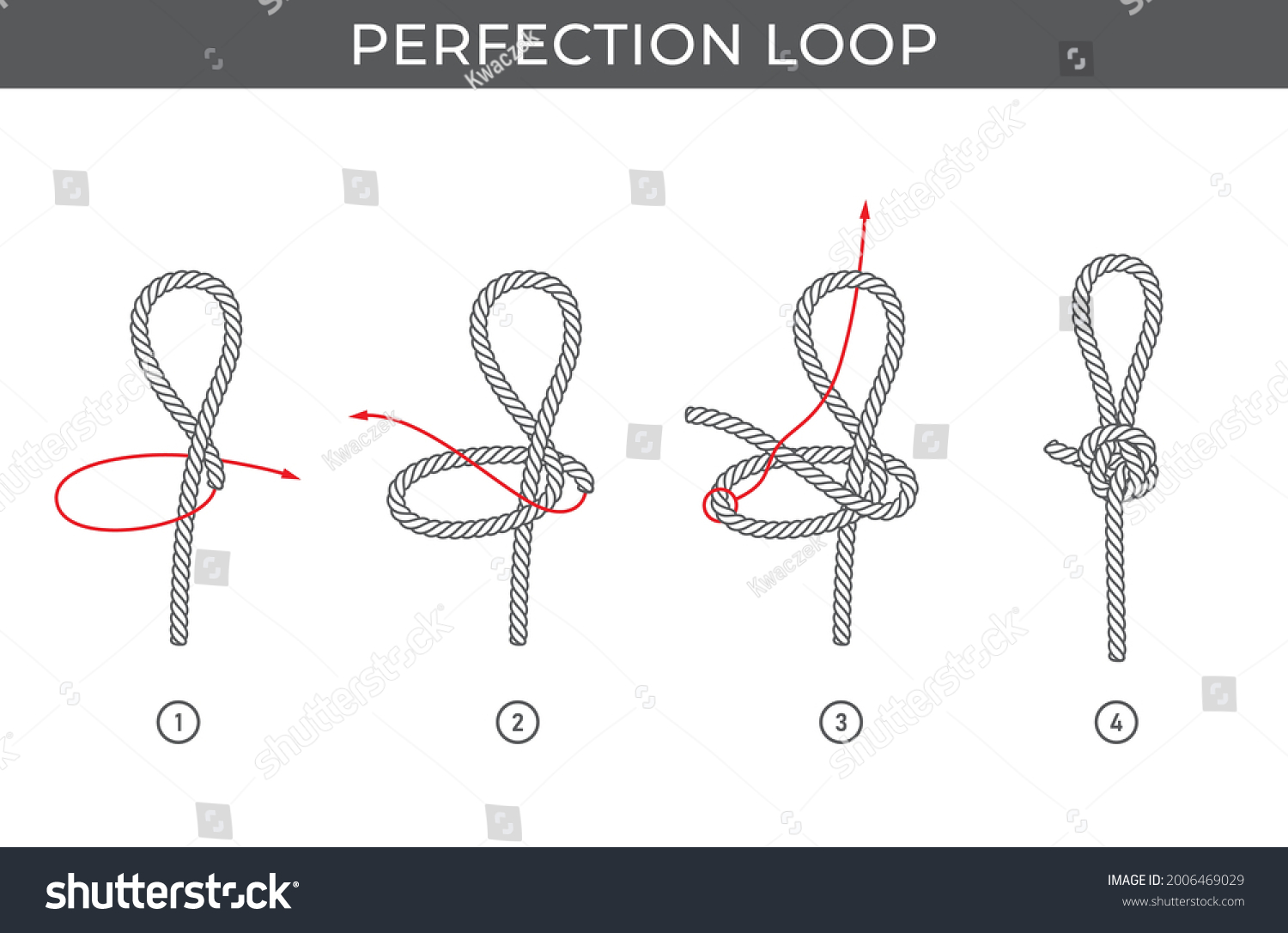 SVG of Vector simple instructions for tying a Perfection loop. Four steps. Isolated on white background. svg