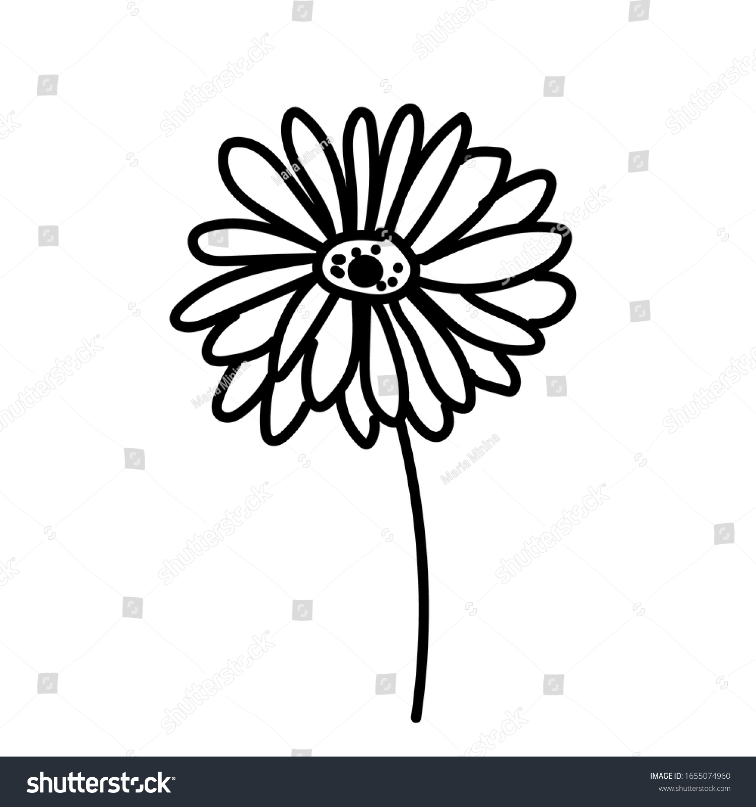 Vector Single Gerbera Botanical Illustration Doodle Stock Vector ...