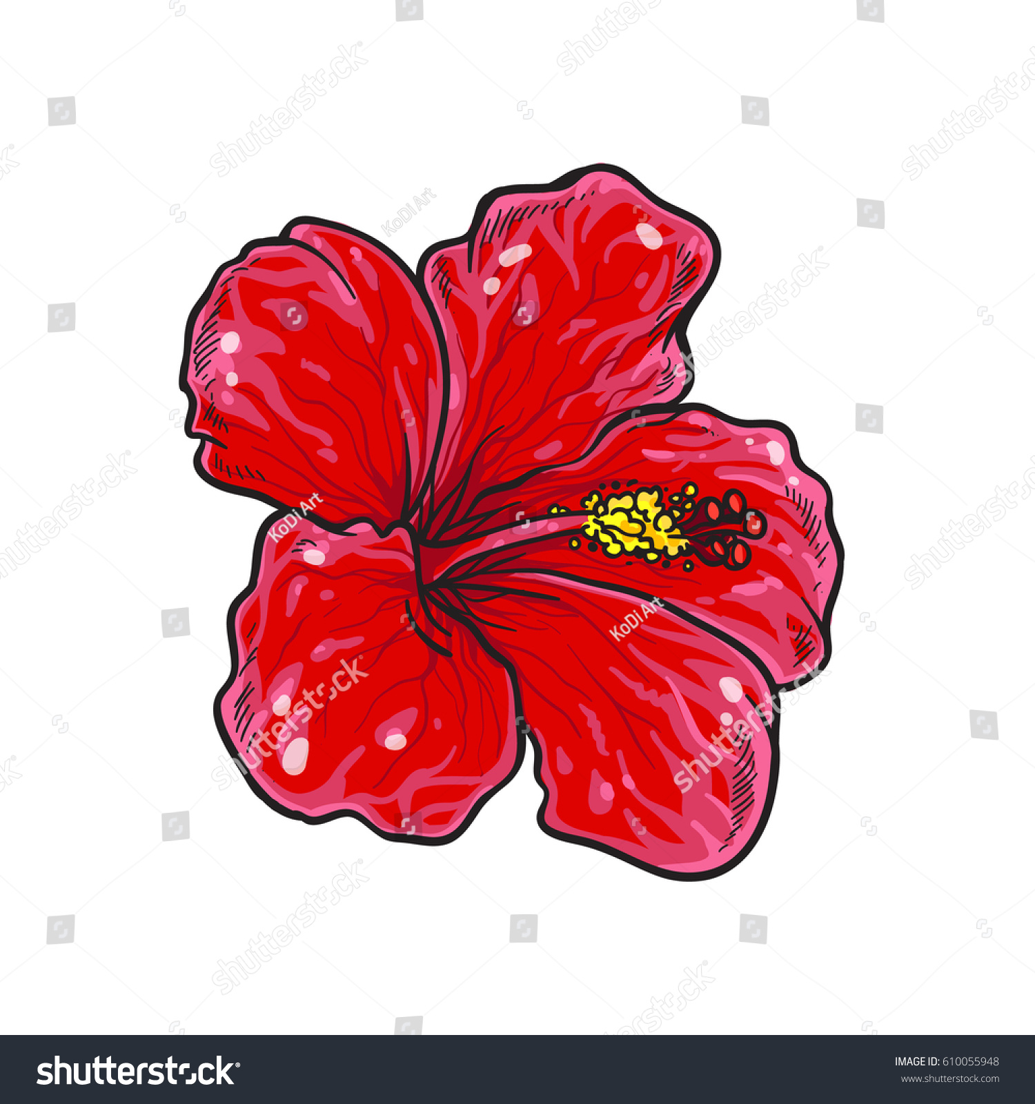 Vector Single Red Hibiscus Flower Colorful Stock Vector 610055948 