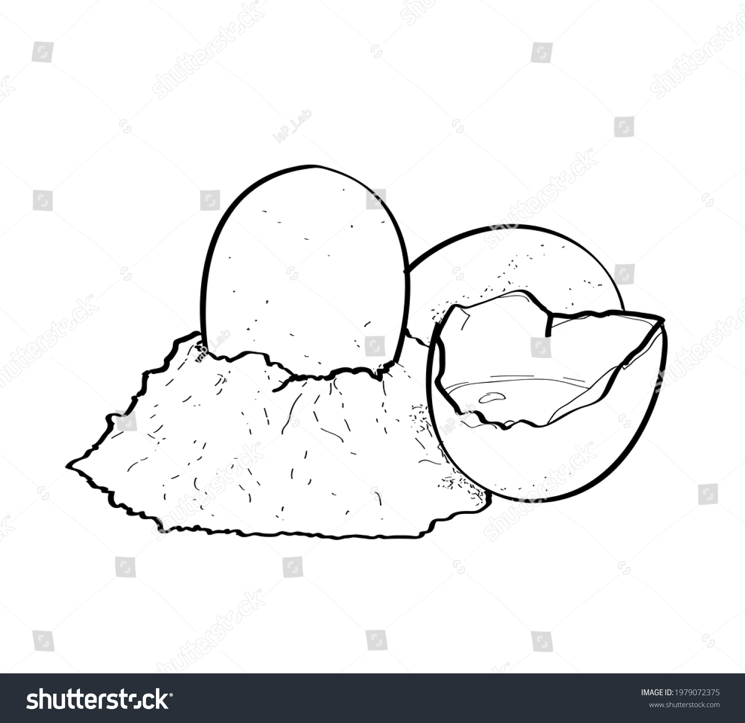 Vector Sketch Chicken Egg Ink Drawing Stock Vector Royalty Free   Stock Vector Vector Sketch Chicken Egg Ink Drawing Vintage Style 1979072375 