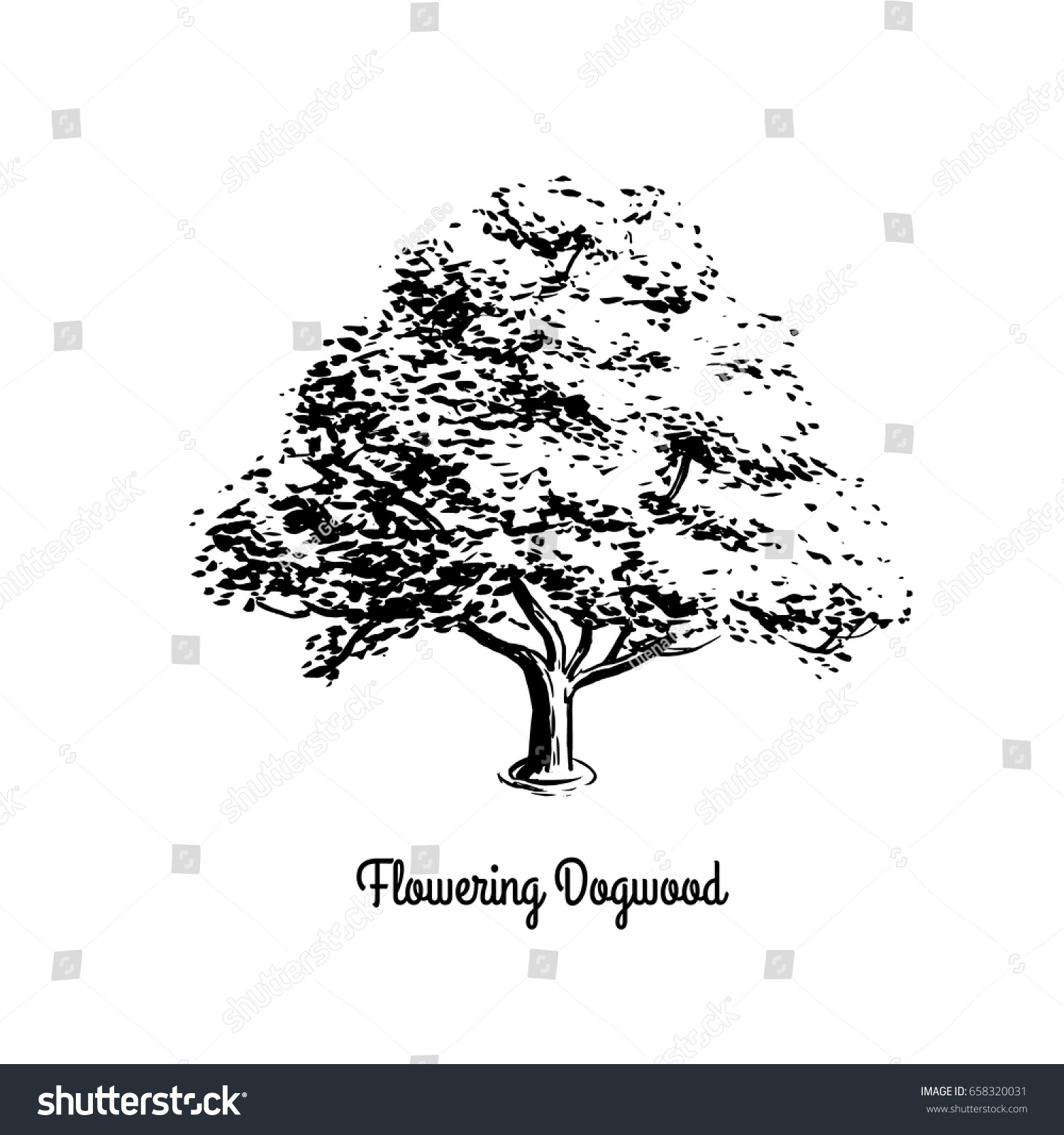 SVG of Vector sketch illustration of Flowering Dogwood. Black silhouette of tree isolated on white background. Official state tree of Missouri and Virginia. svg