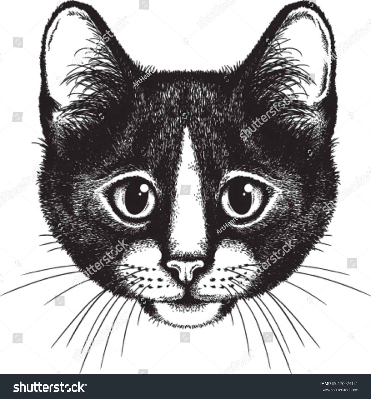 Vector Sketch Black White Cats Face Stock Vector Royalty