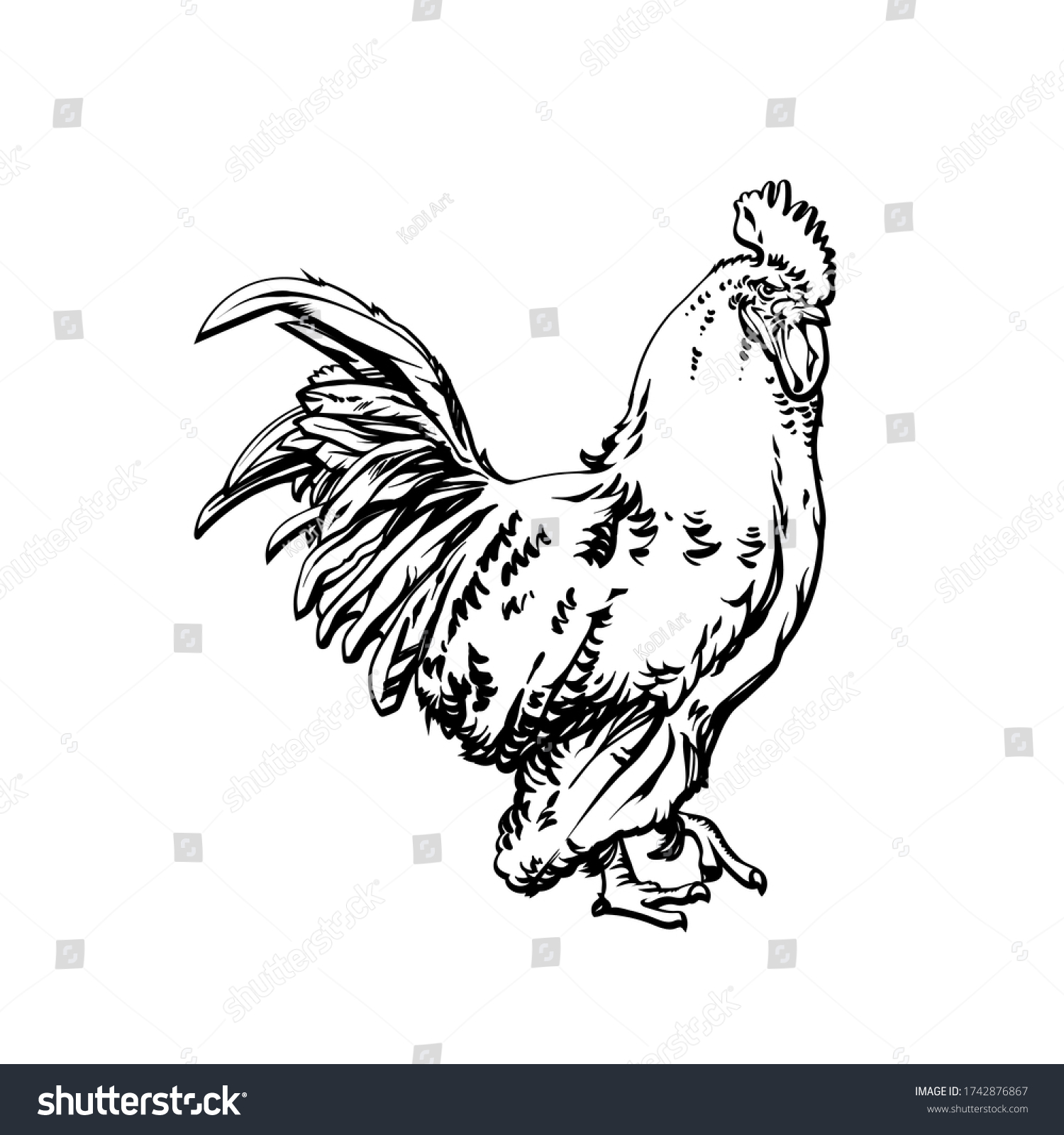 Vector Sketch Realistic Illustration Beautiful Cock Stock Vector