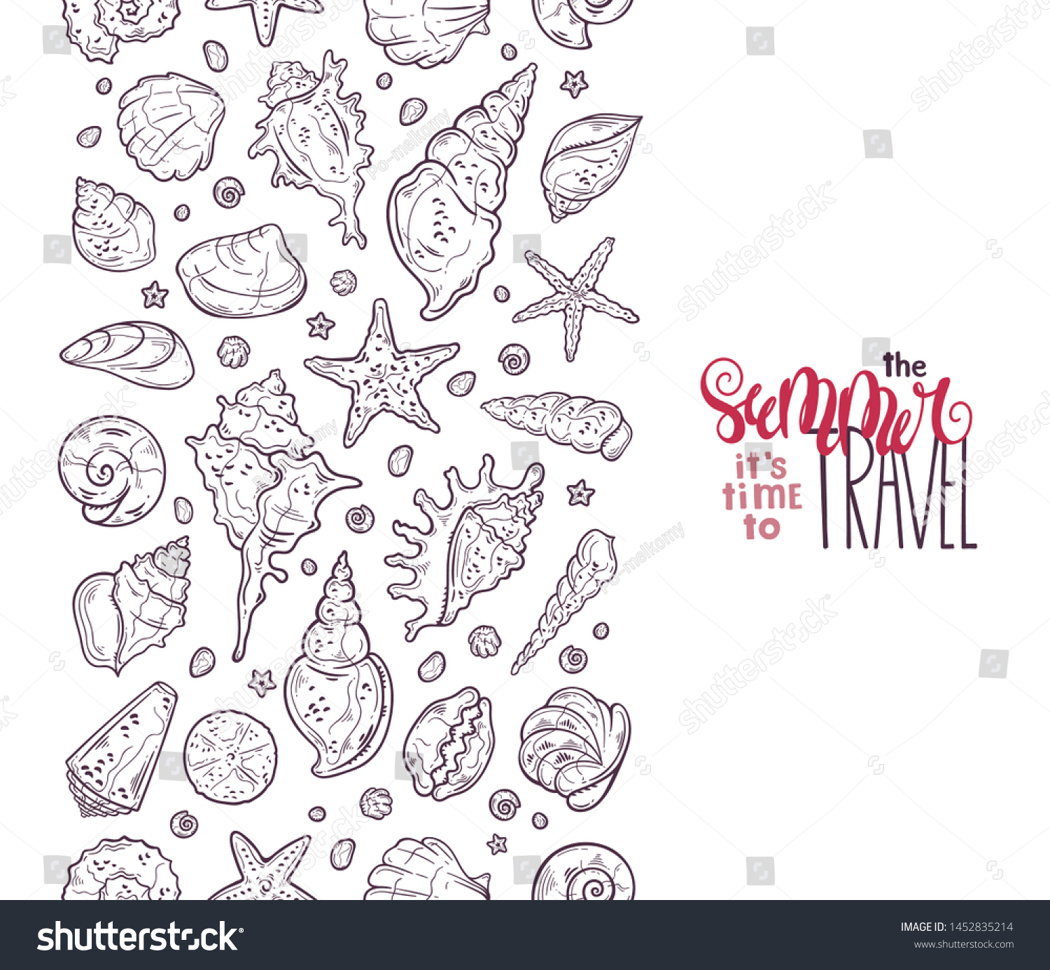 Vector Sketching Illustrations Different Types Seashells Stock Vector