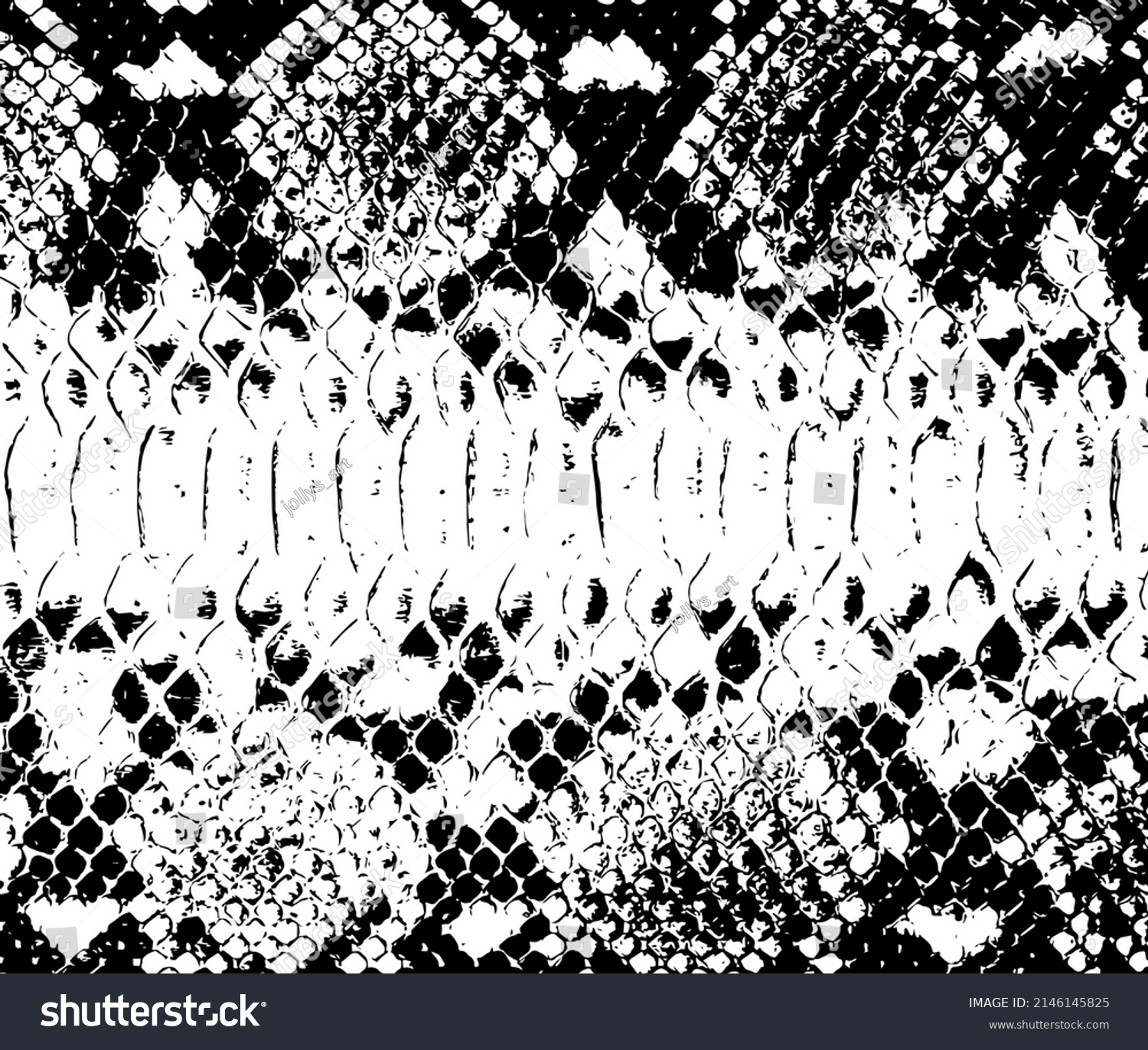 Vector Snake Skin Background Black White Stock Vector (Royalty Free ...