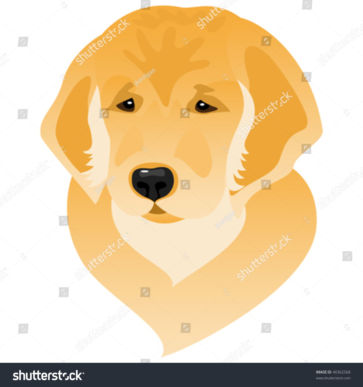 Vector Stylized Illustration Of Golden Retriever Puppy Portrait ...