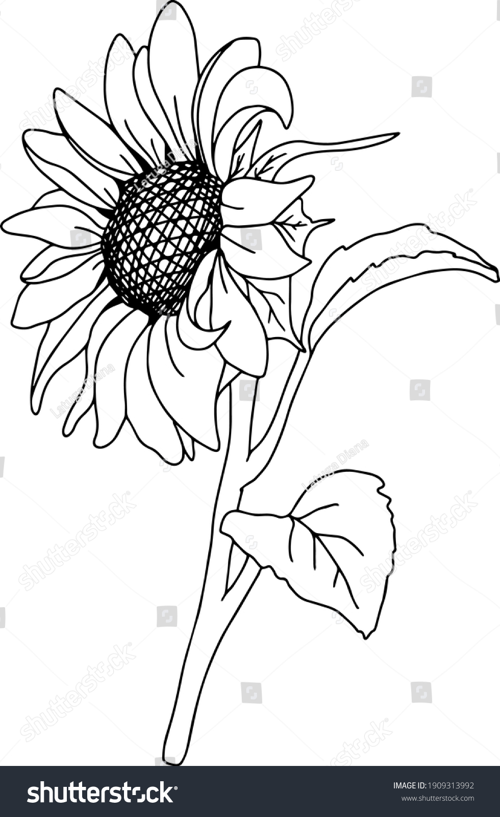 17,488 Sunflowers outline Images, Stock Photos & Vectors | Shutterstock
