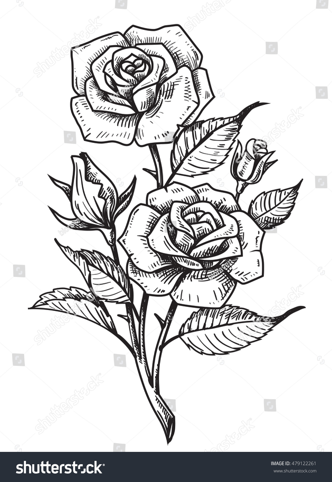 vector tattoo roses leaves on white stock vector 479122261 vector tattoo roses leaves on white stock vector 479122261