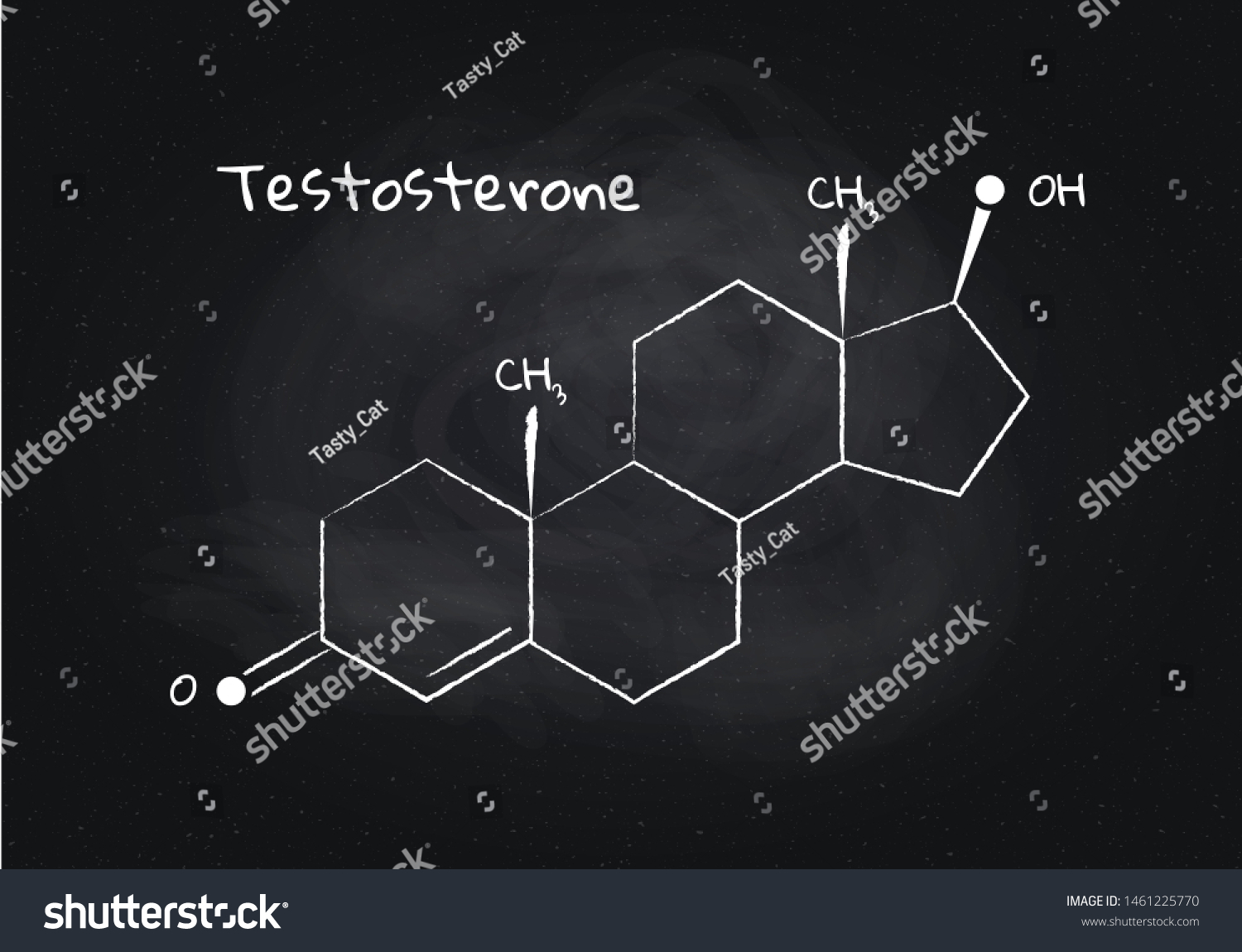 Vector Testosterone Structure Banner Illustration Hormone Stock Vector Royalty Free 1461225770